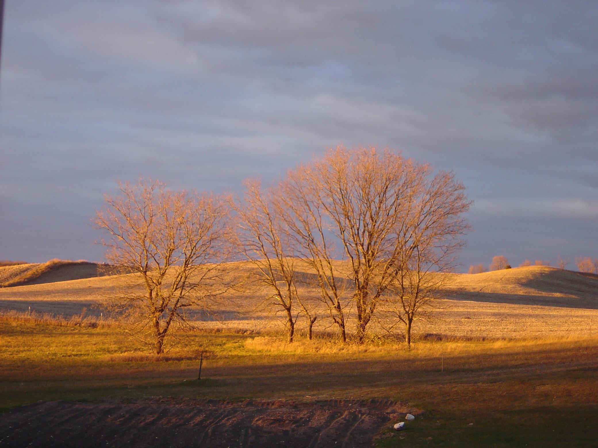 main property photo 60