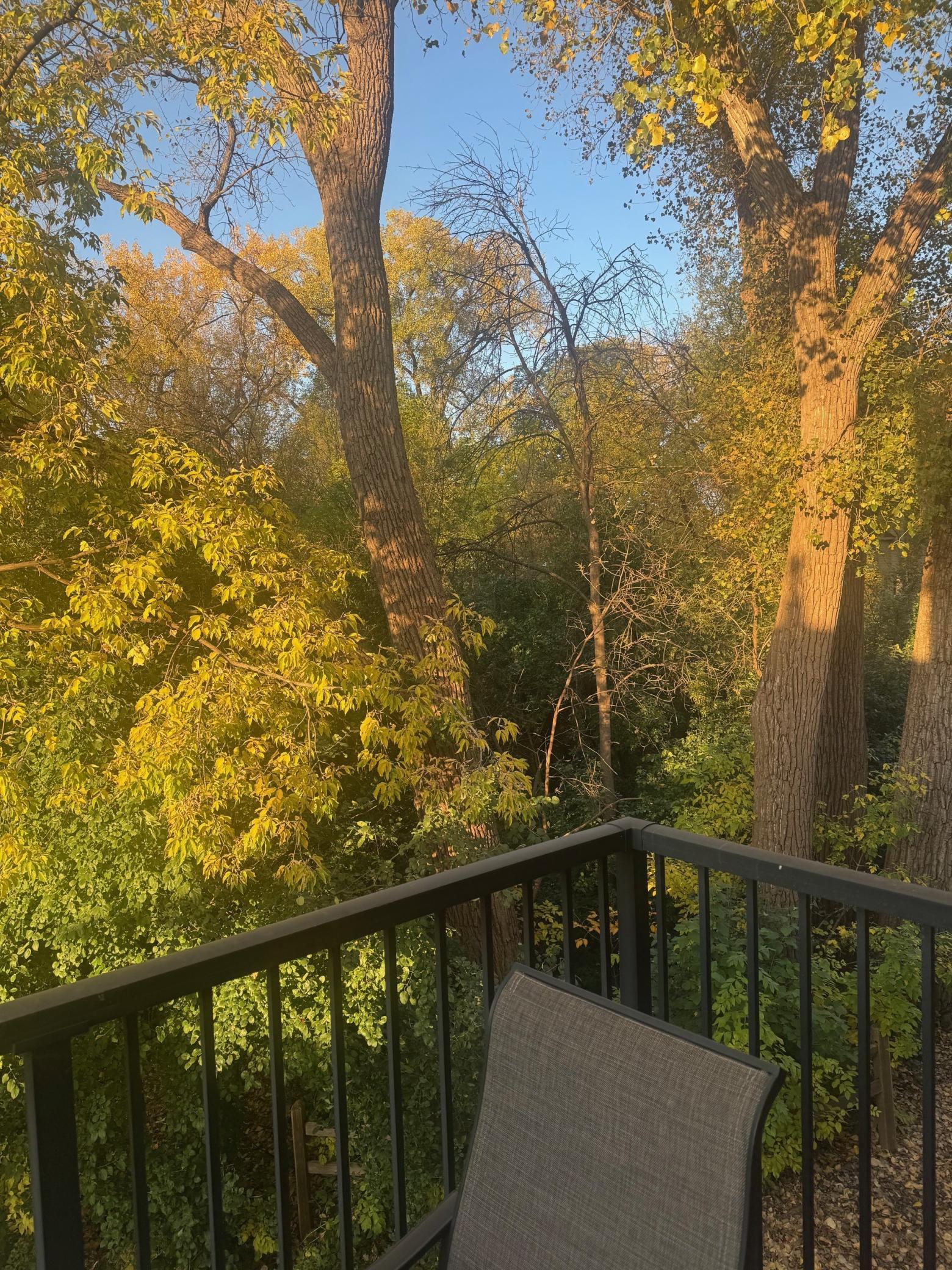 main property photo 54