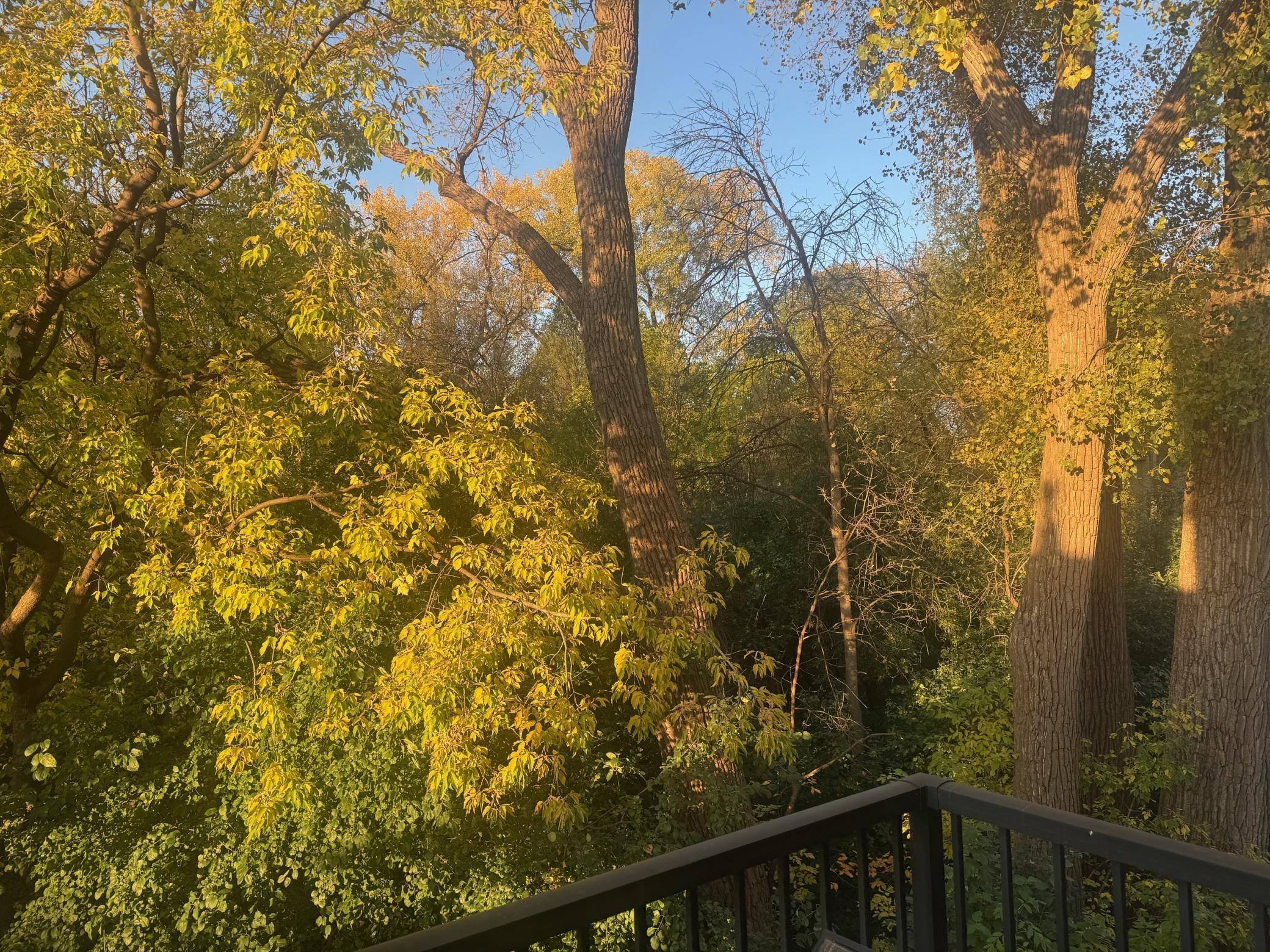 main property photo 55