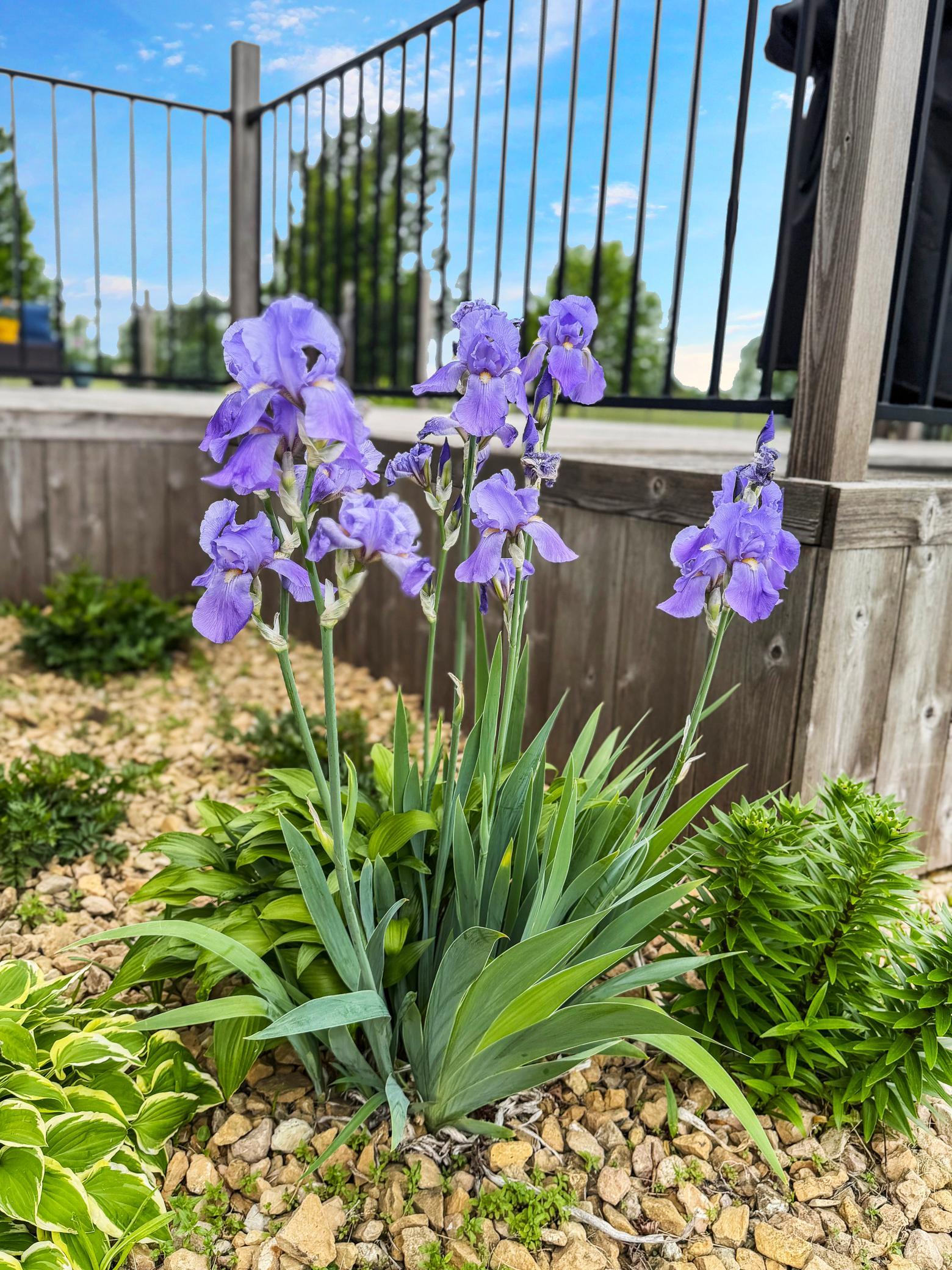 main property photo 42