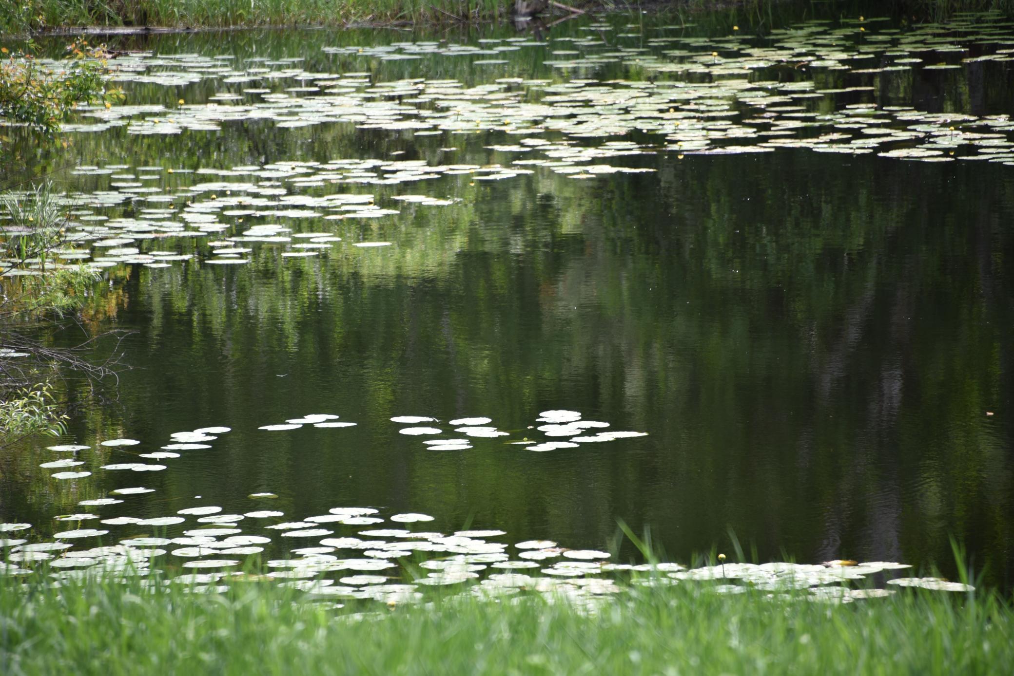 main property photo 57