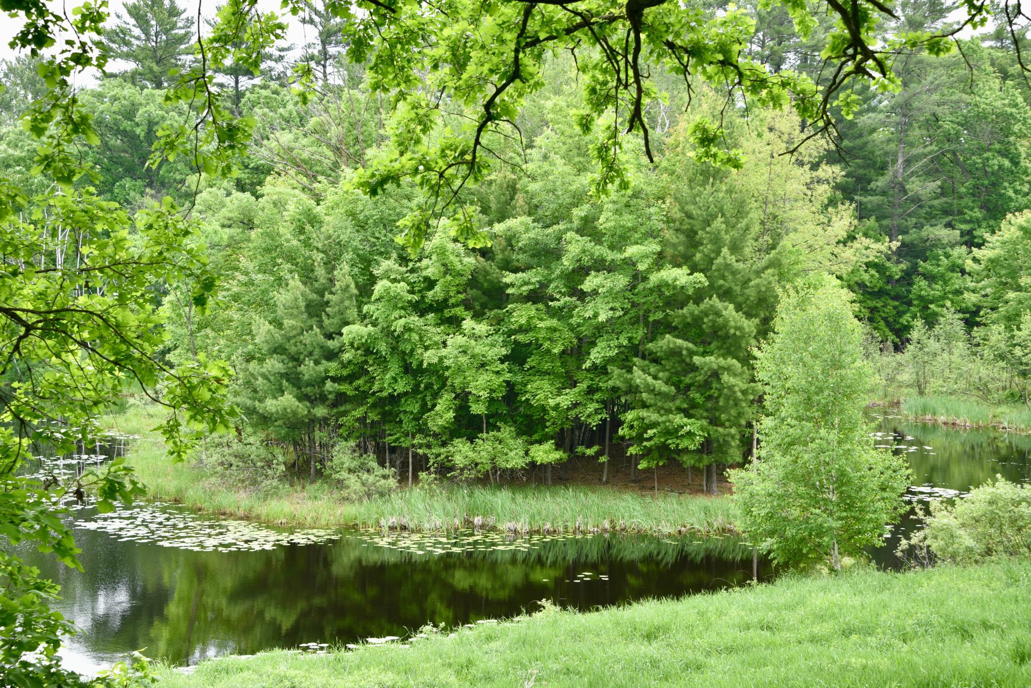 main property photo 62