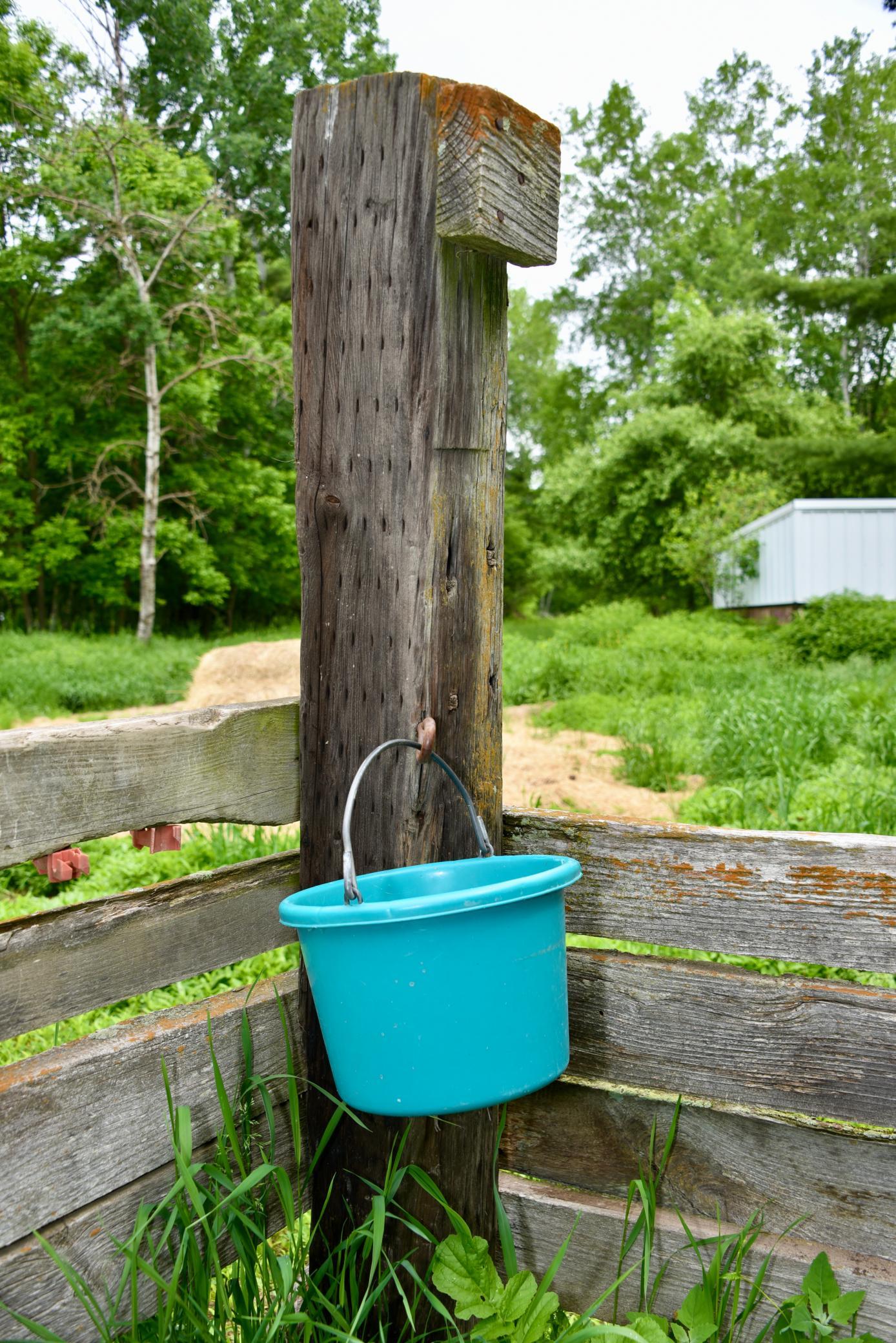 main property photo 67