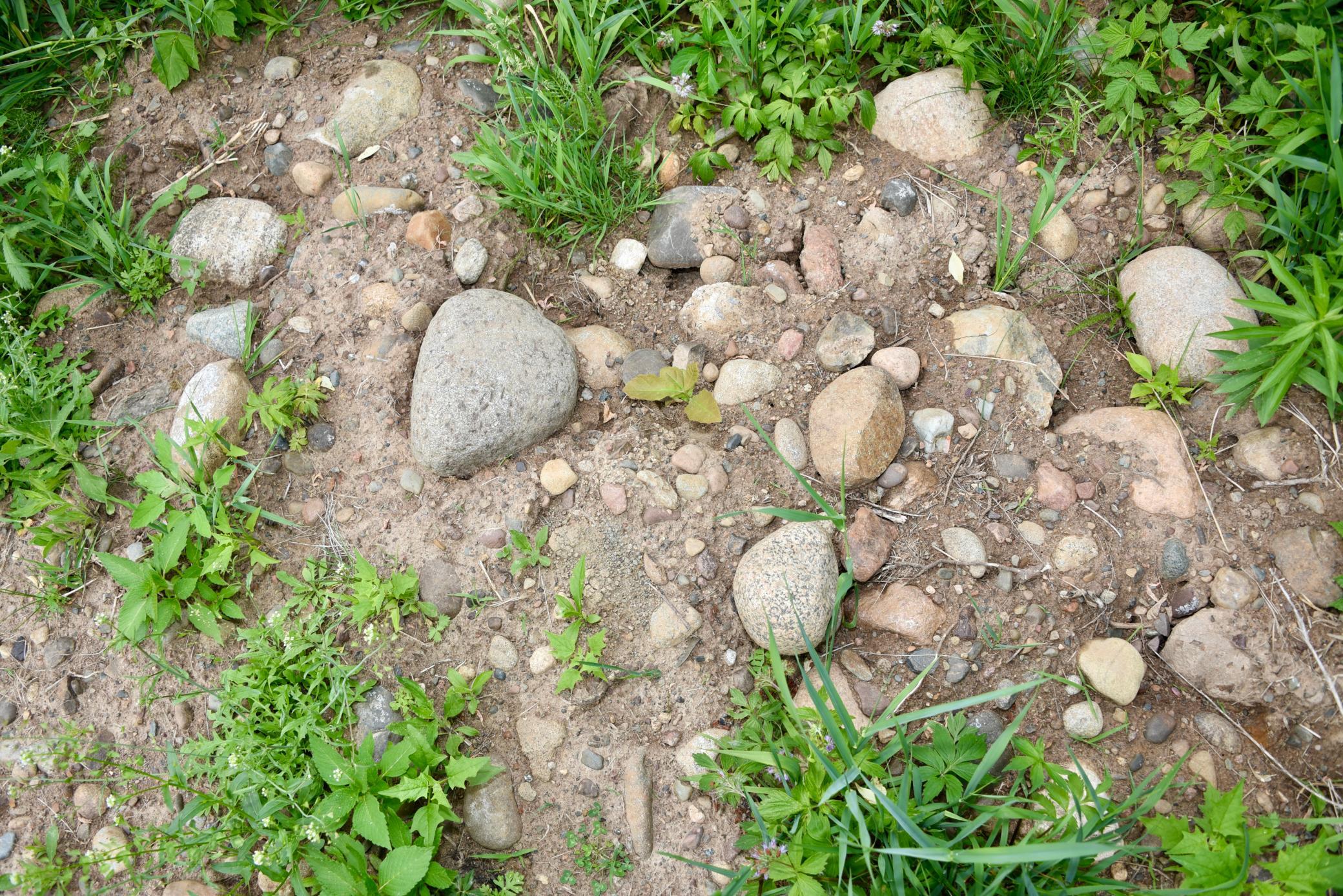 main property photo 70
