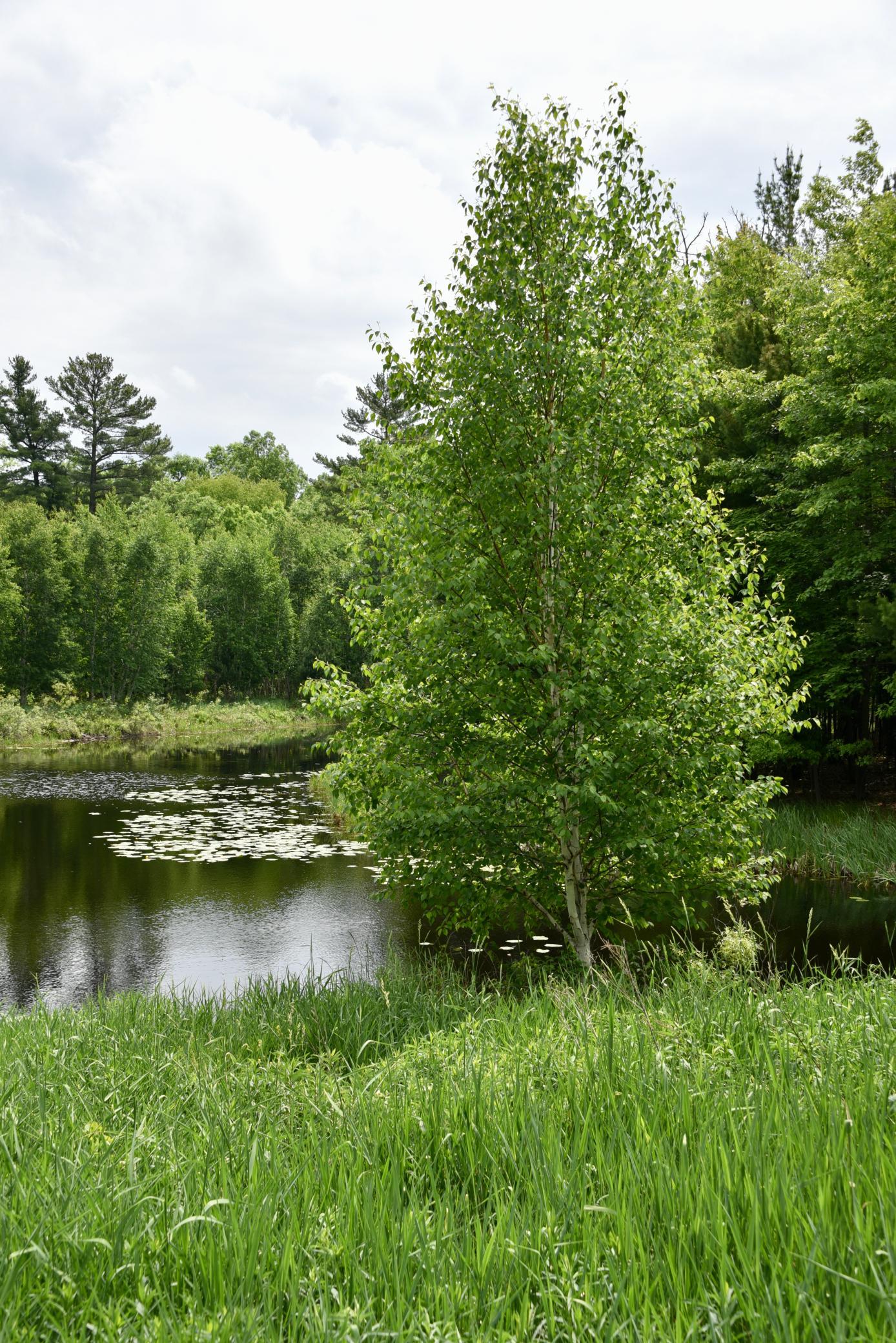 main property photo 76