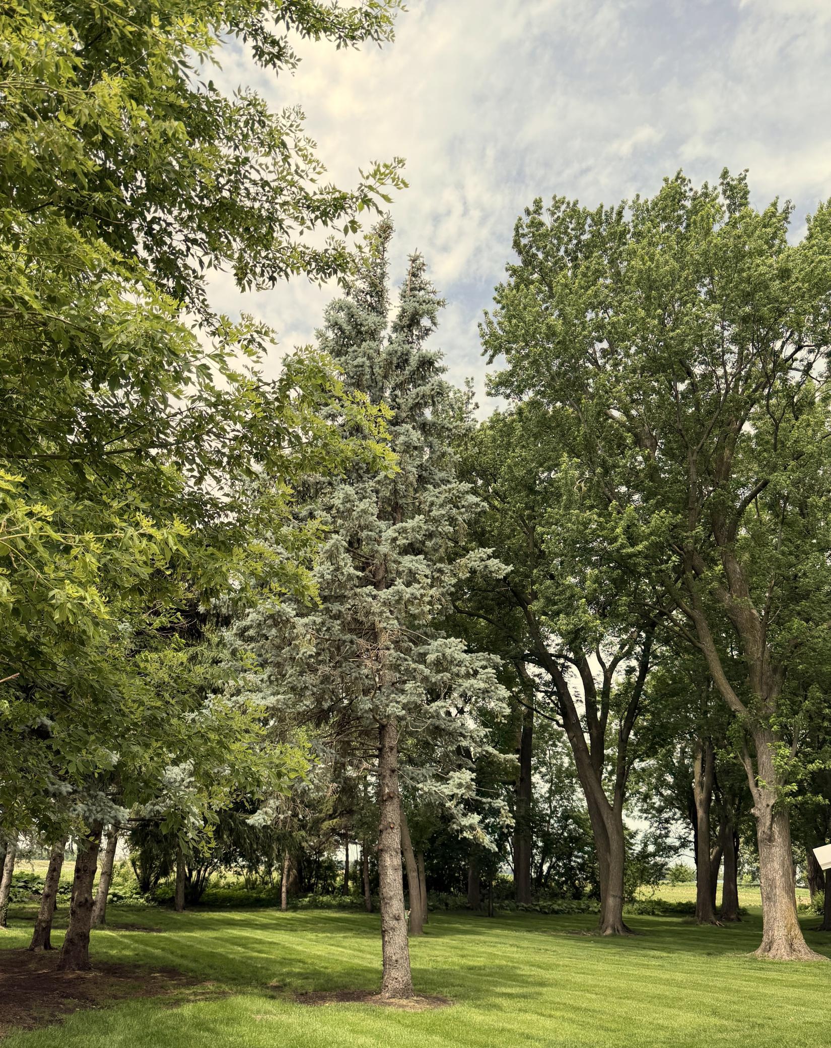 main property photo 53