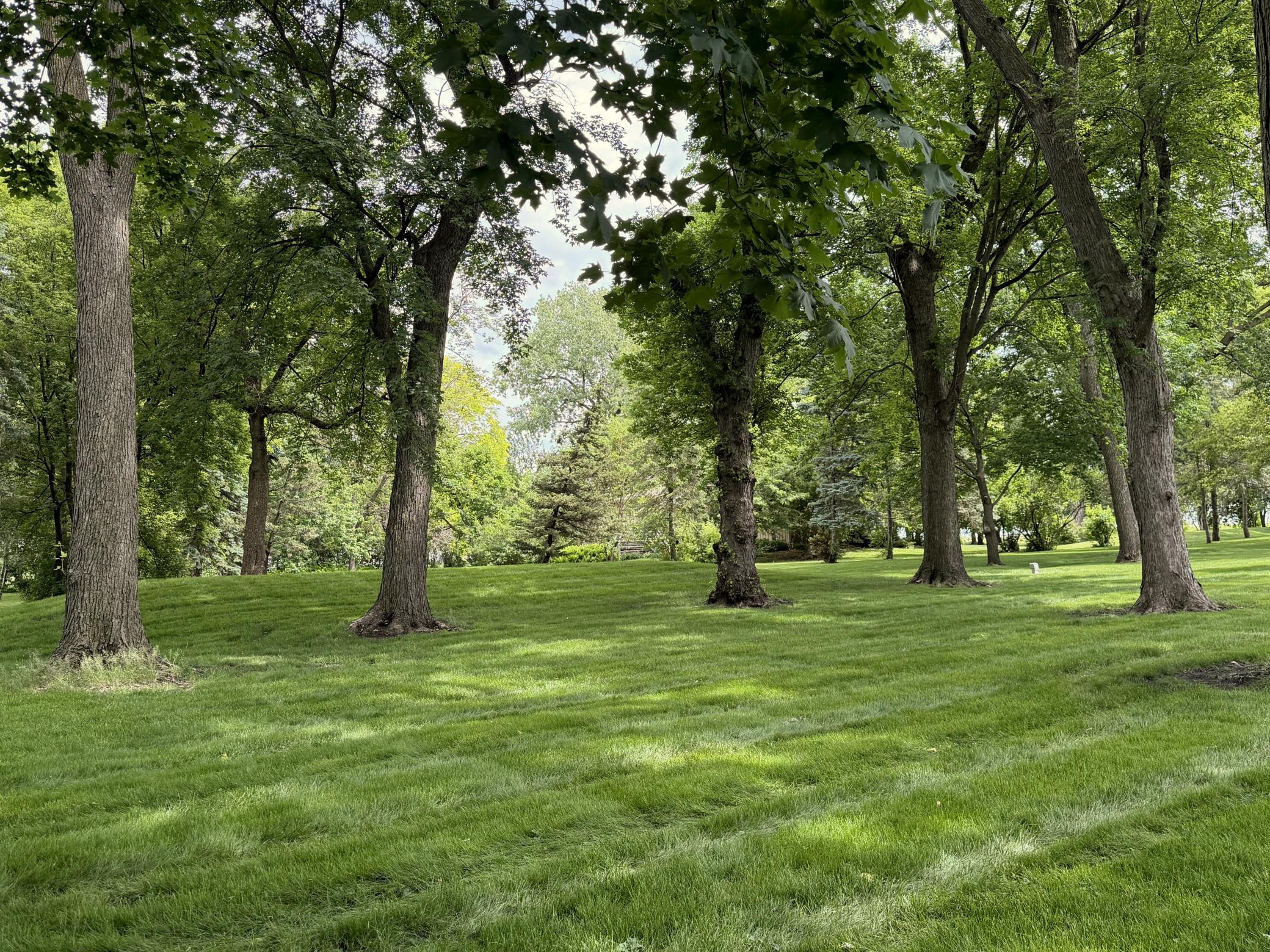 main property photo 55