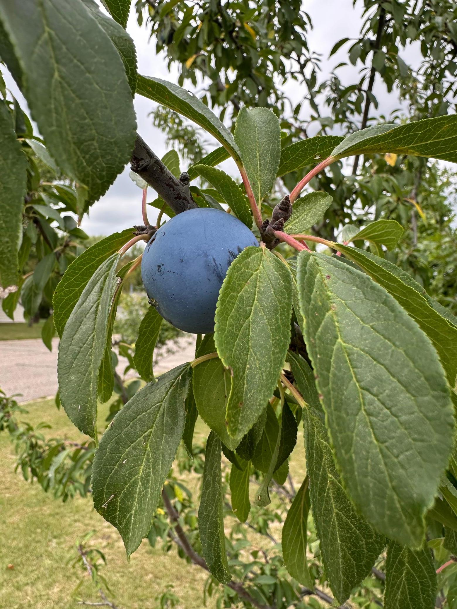 main property photo 40