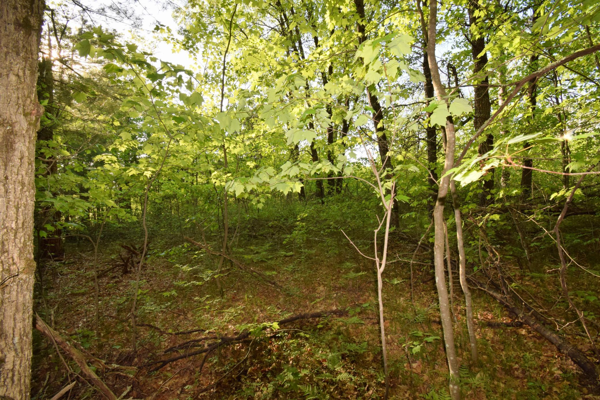 main property photo 11