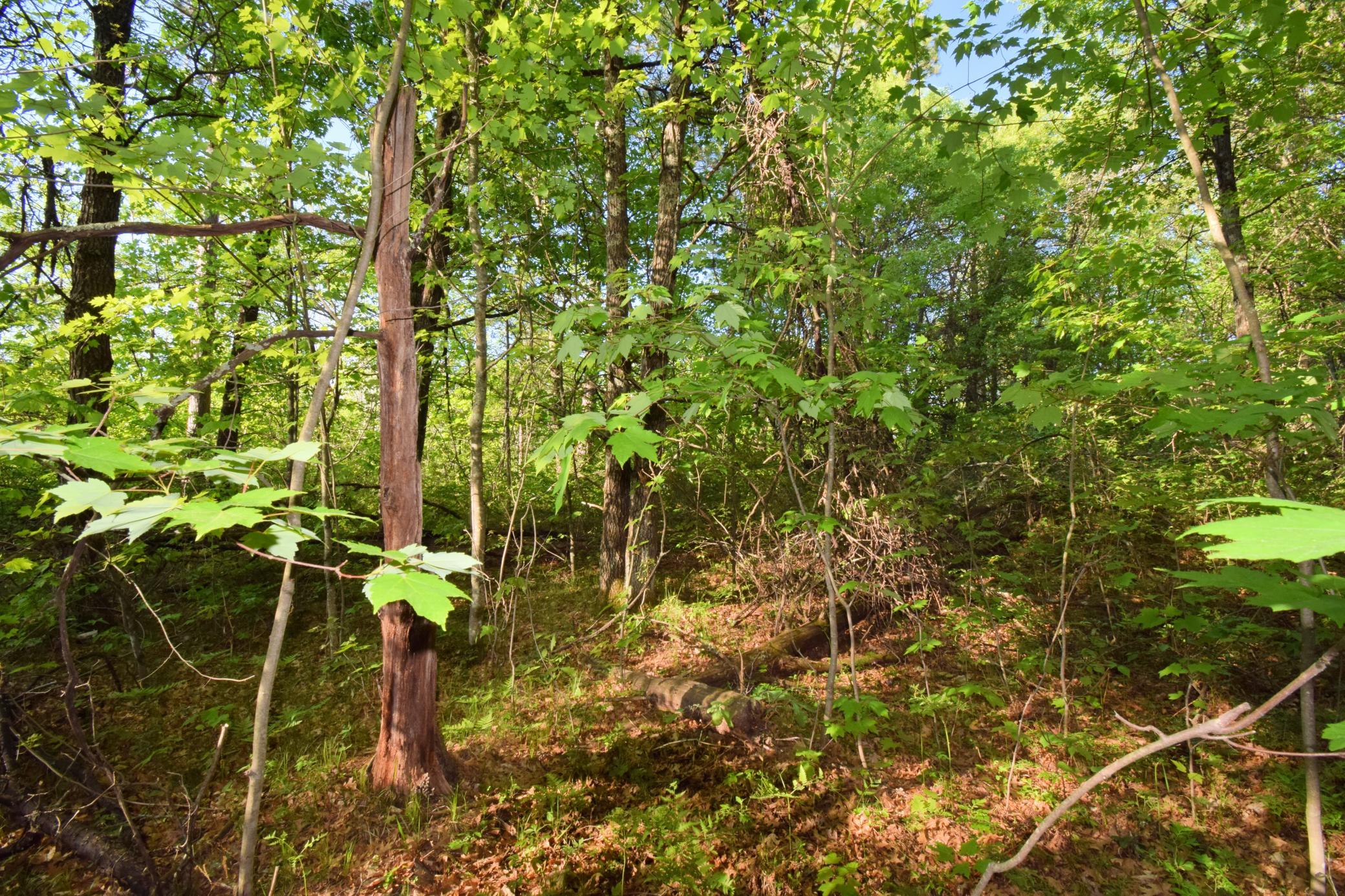 main property photo 12