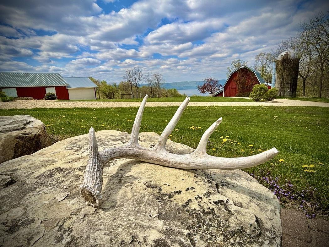 main property photo 18
