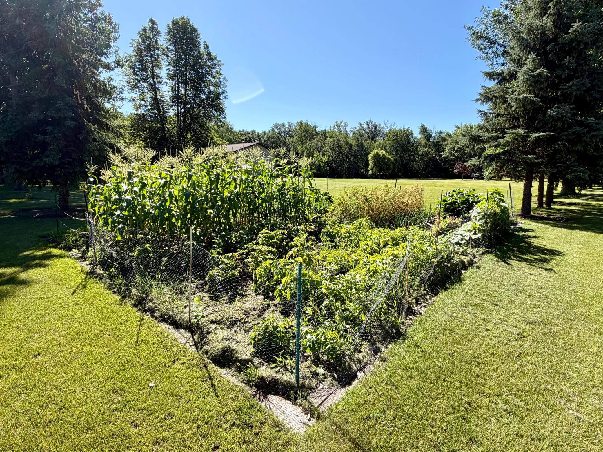 main property photo 28