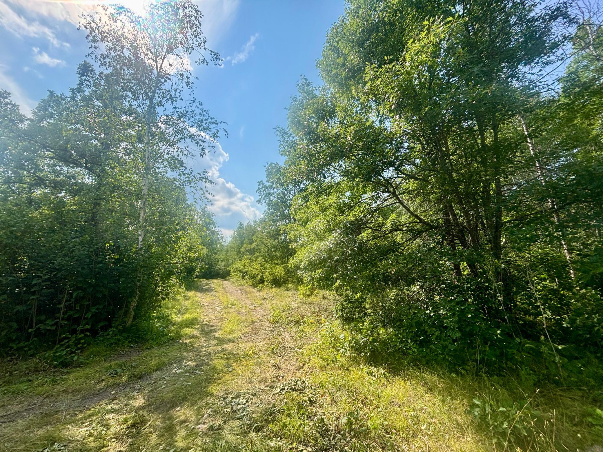 main property photo 10