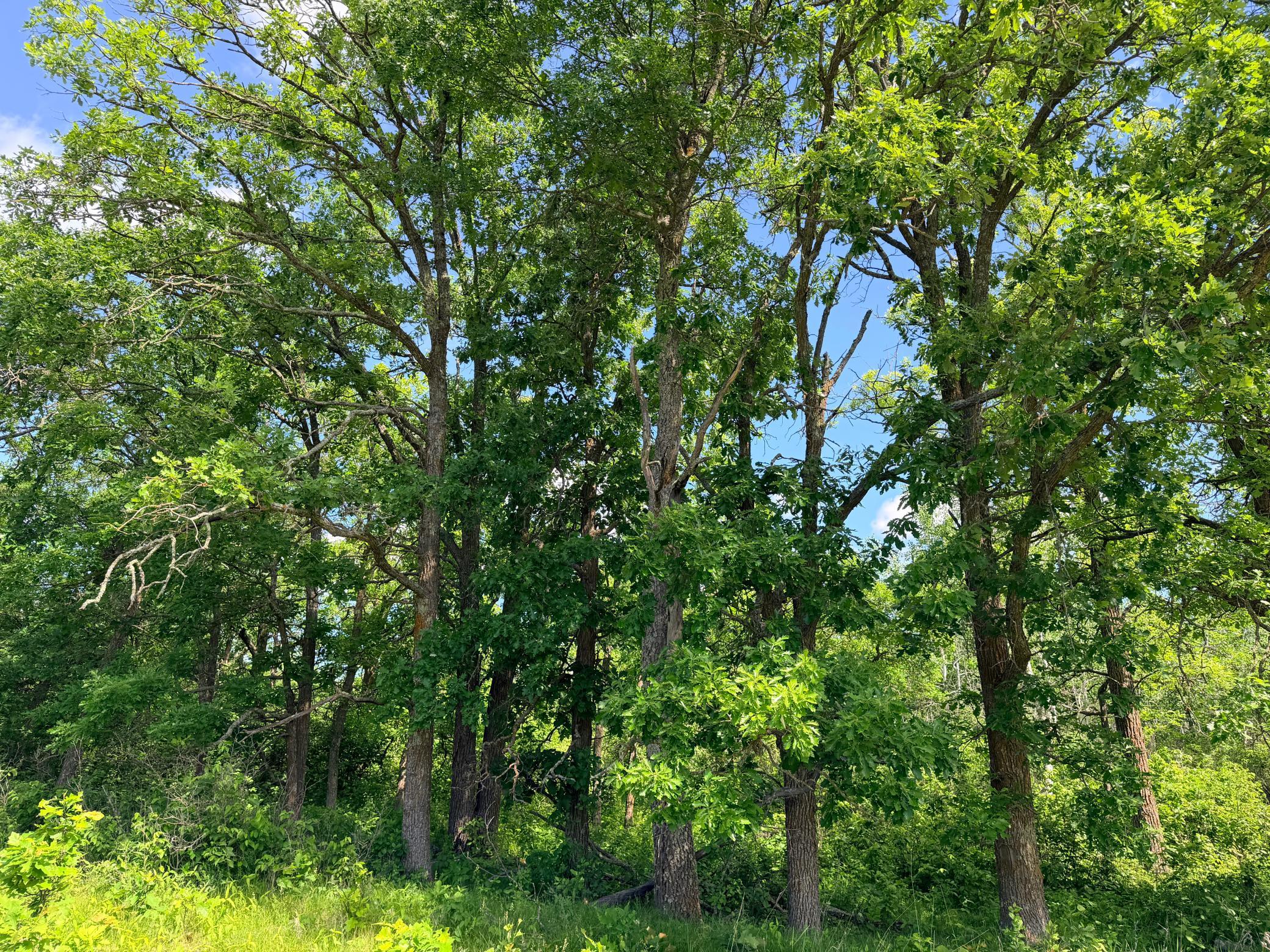 main property photo 13