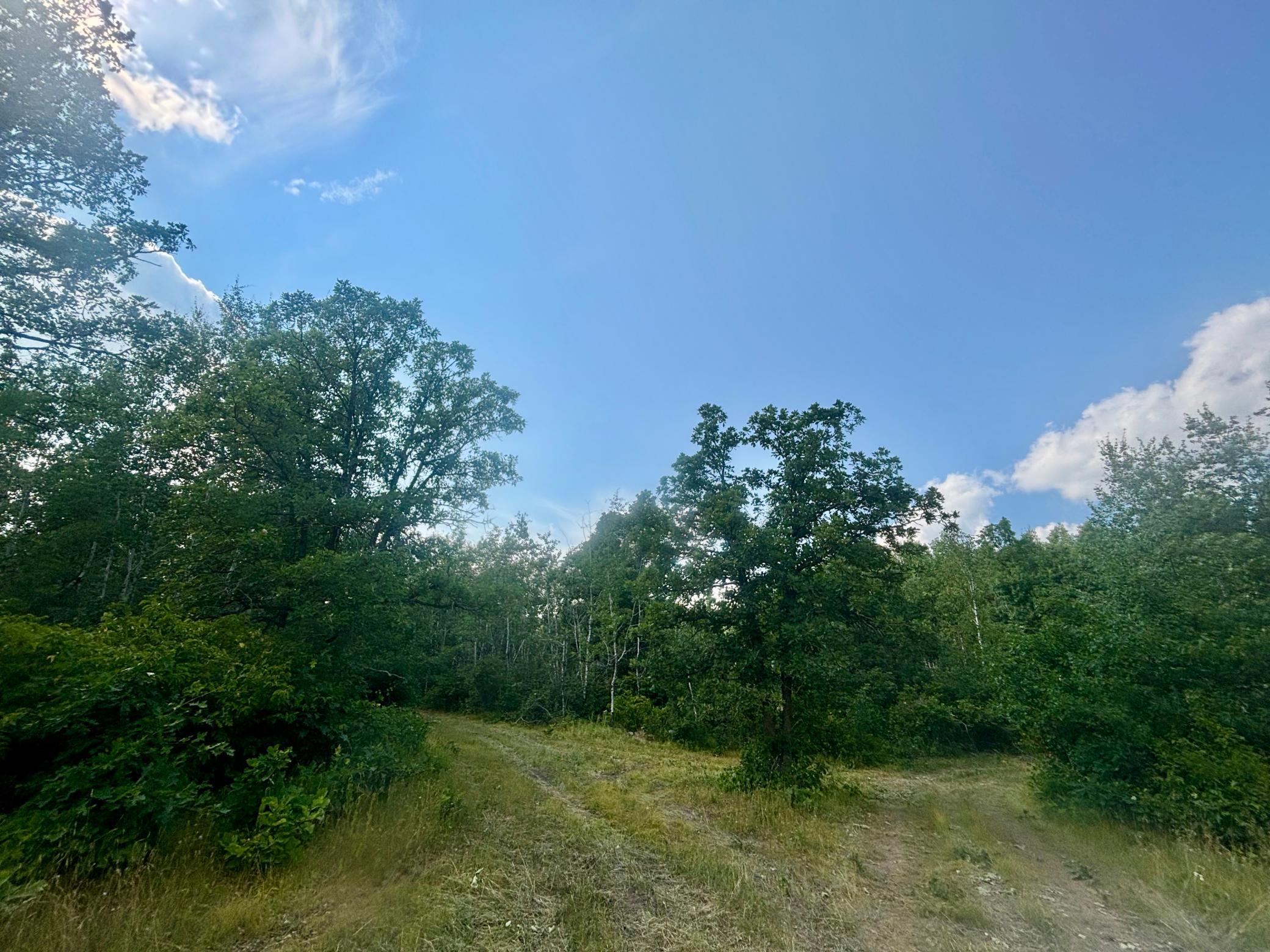 main property photo 21