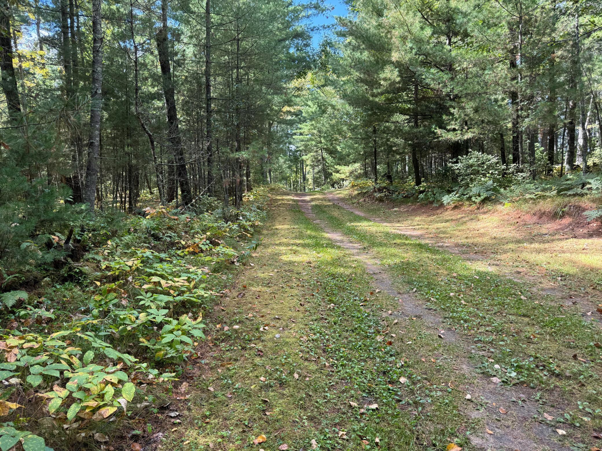 main property photo 19