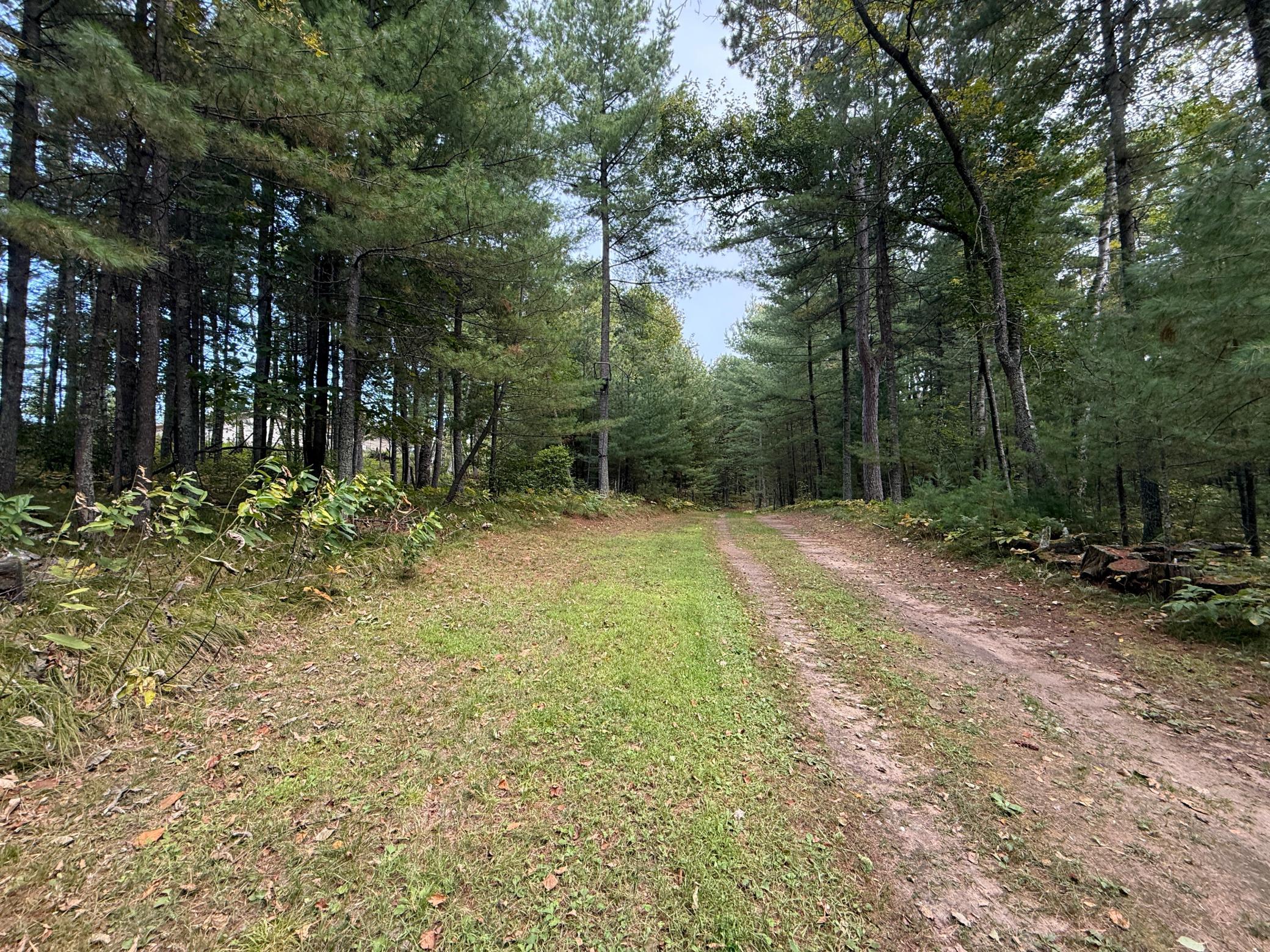 main property photo 33