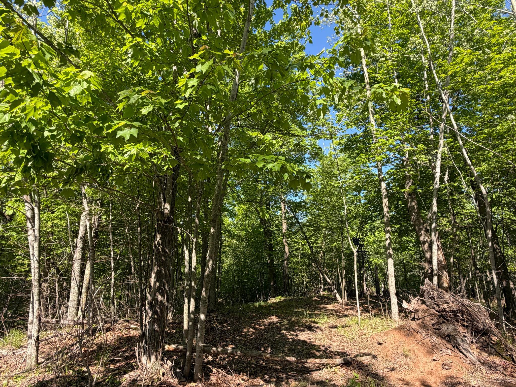 main property photo 12