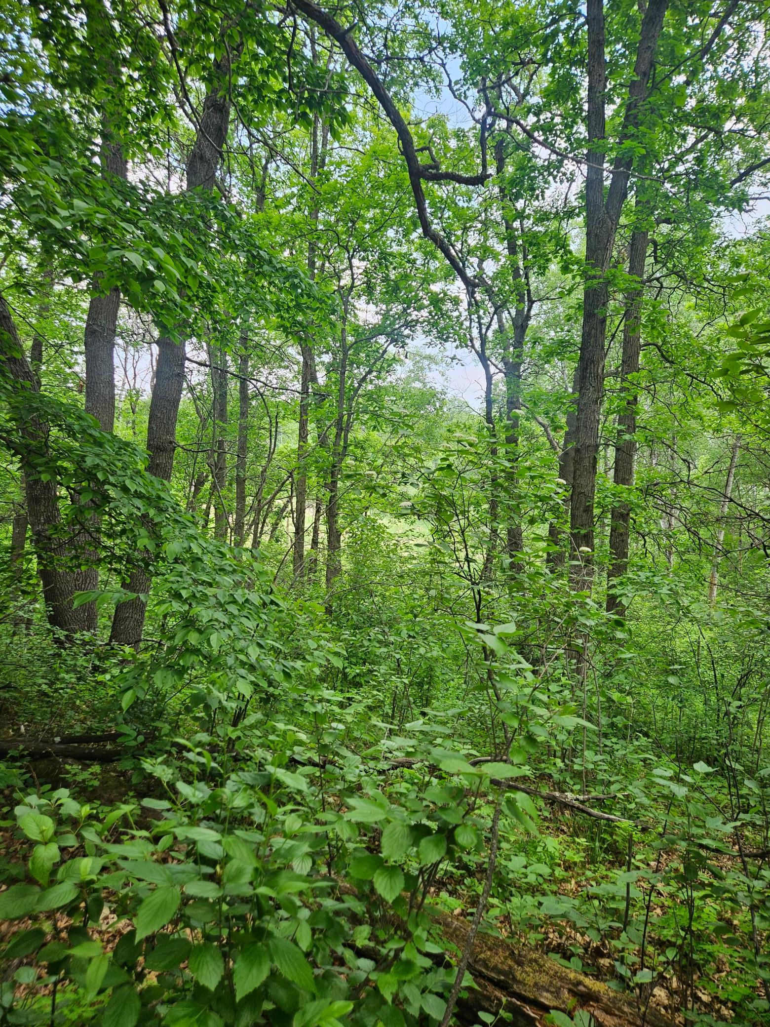 main property photo 12