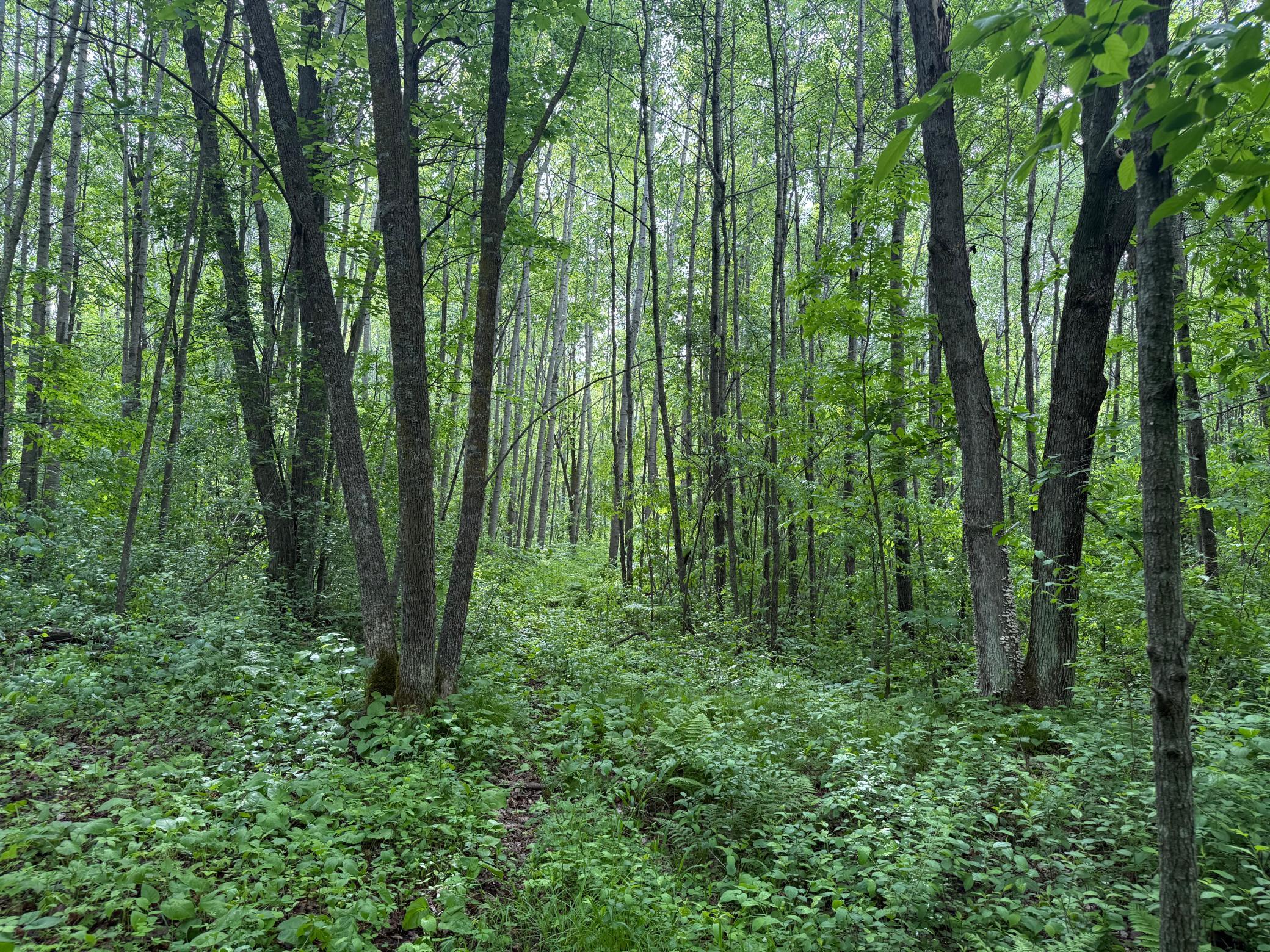 main property photo 20