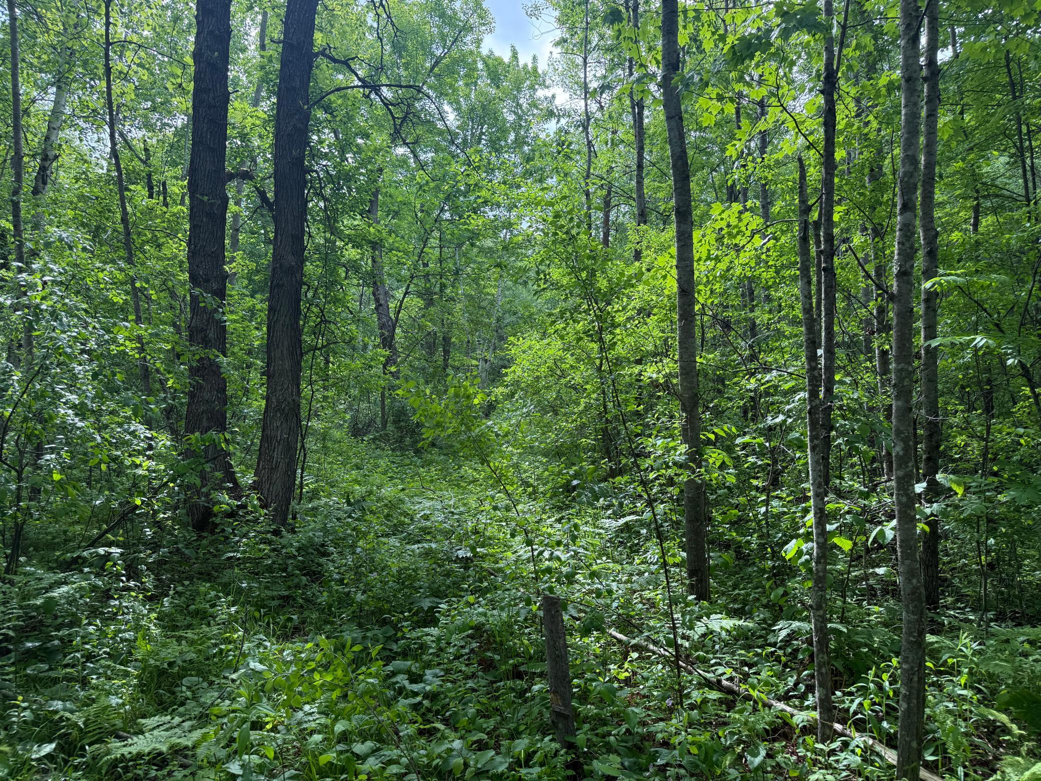 main property photo 21