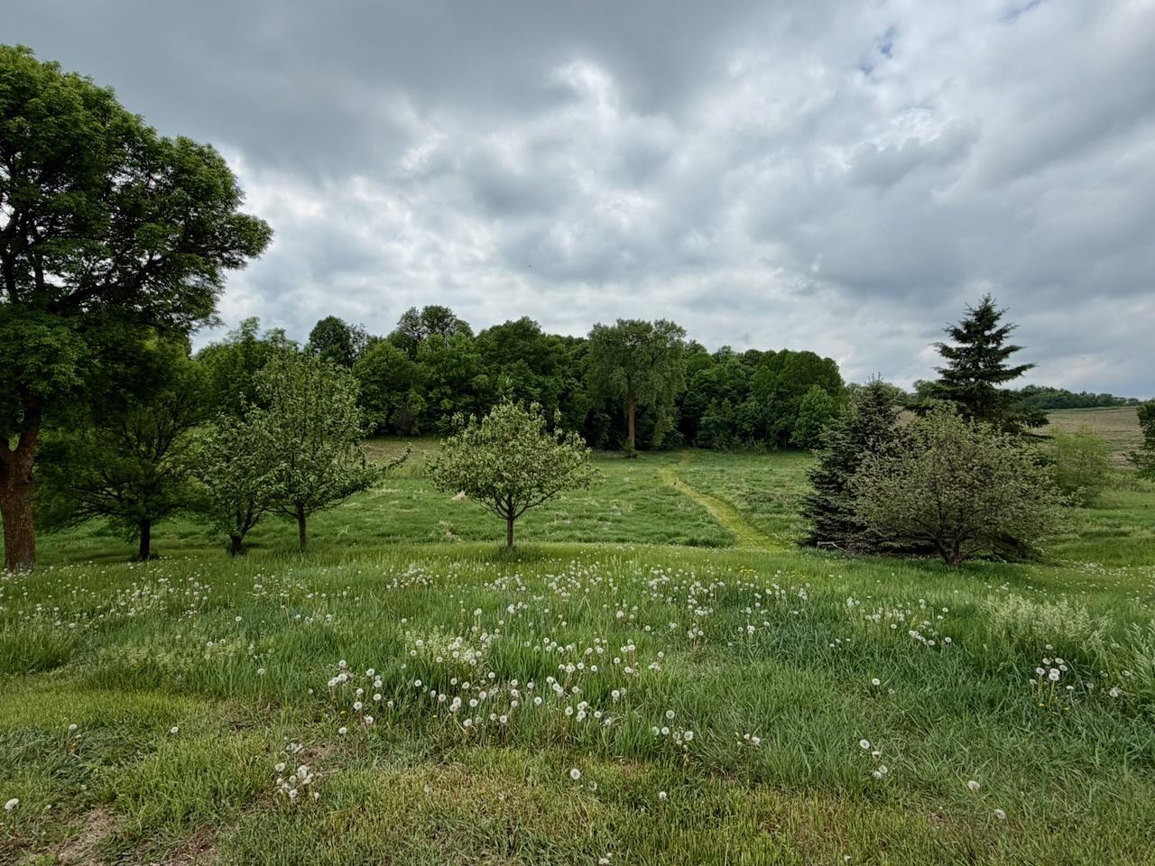 main property photo 54