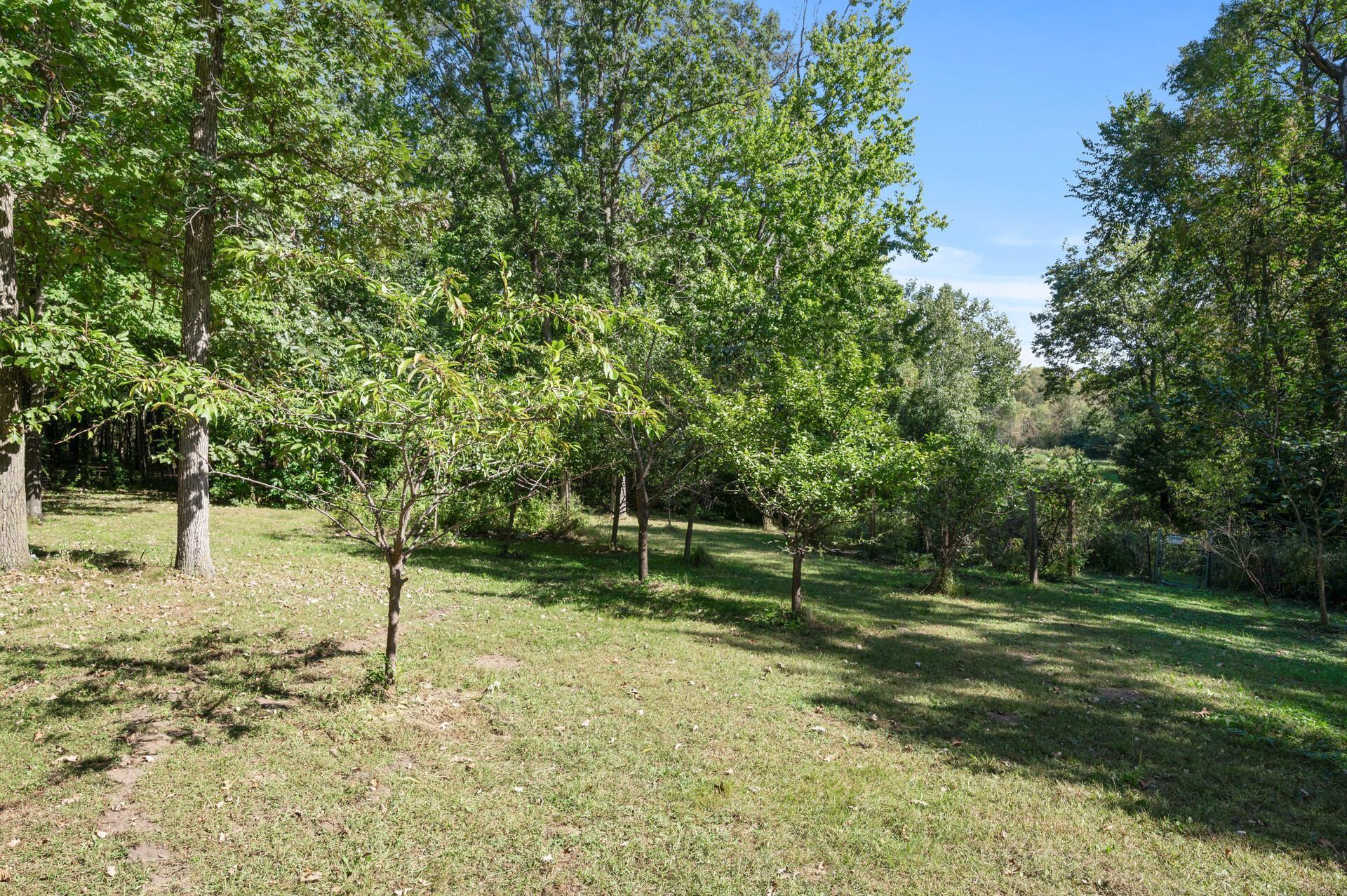 main property photo 38