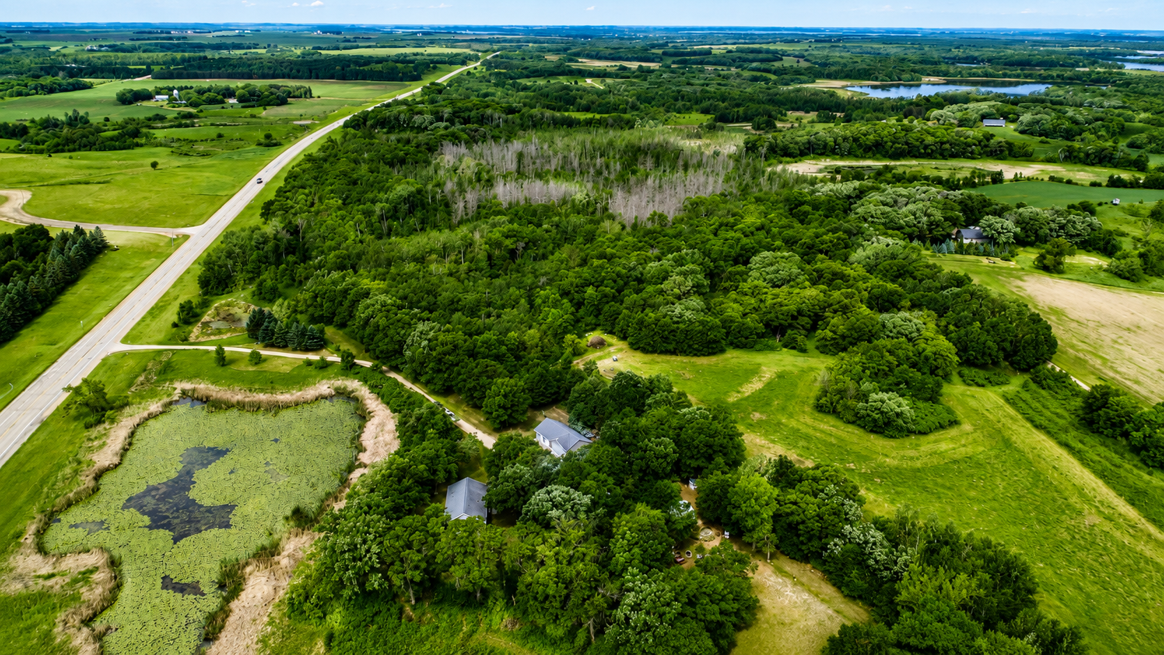 main property photo 46