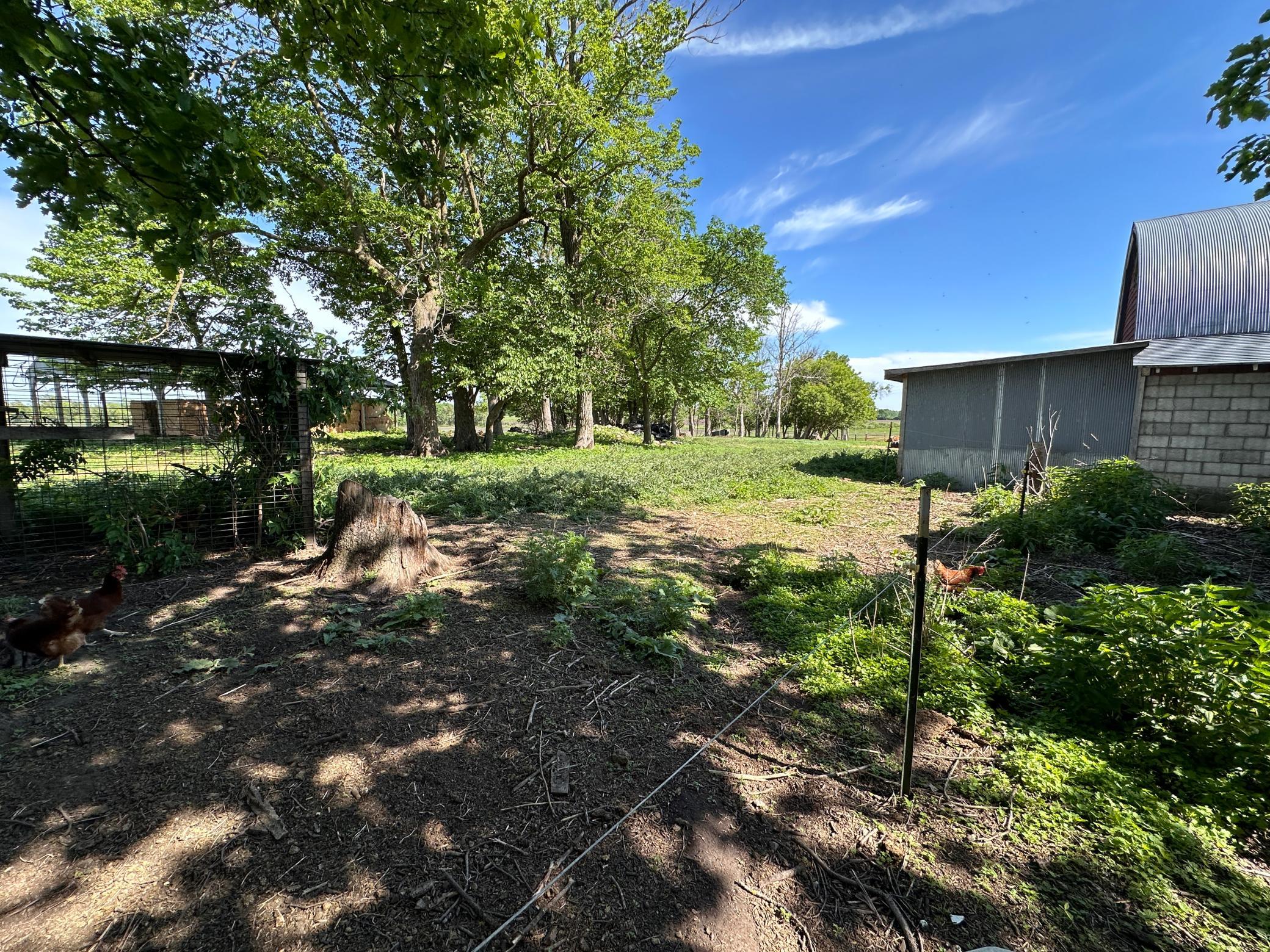 main property photo 42