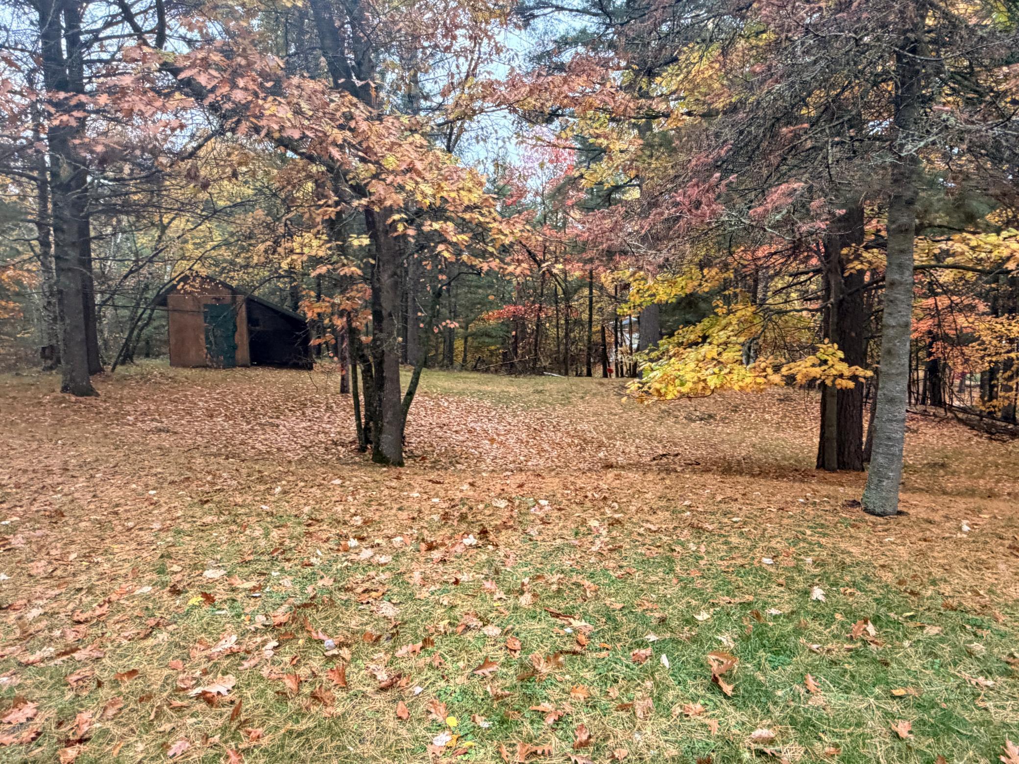 main property photo 71