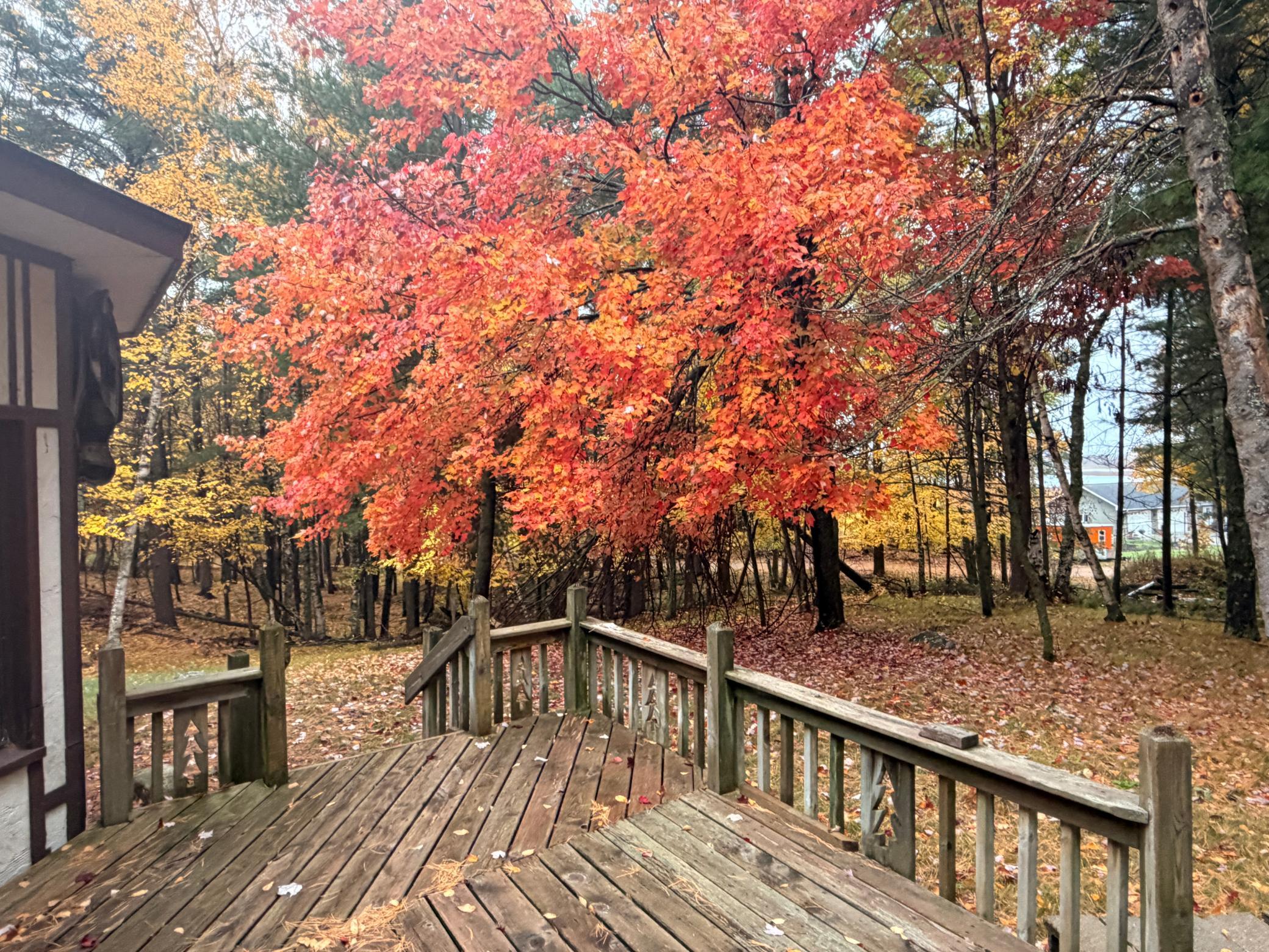 main property photo 72