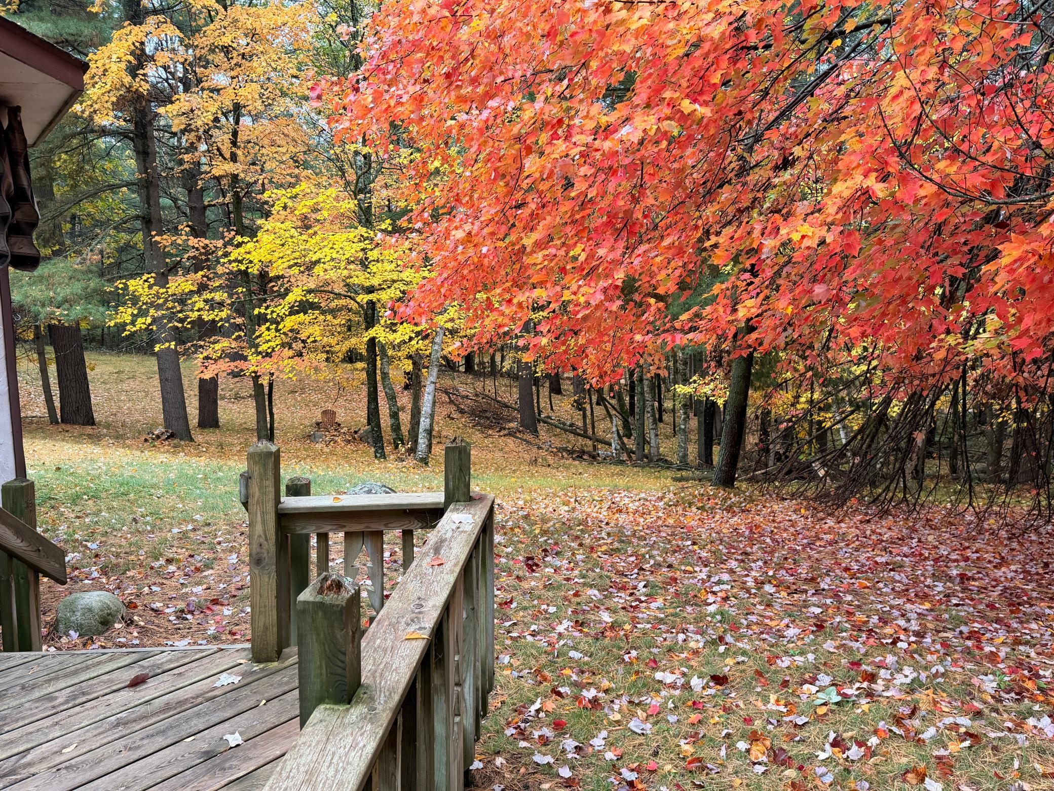 main property photo 75