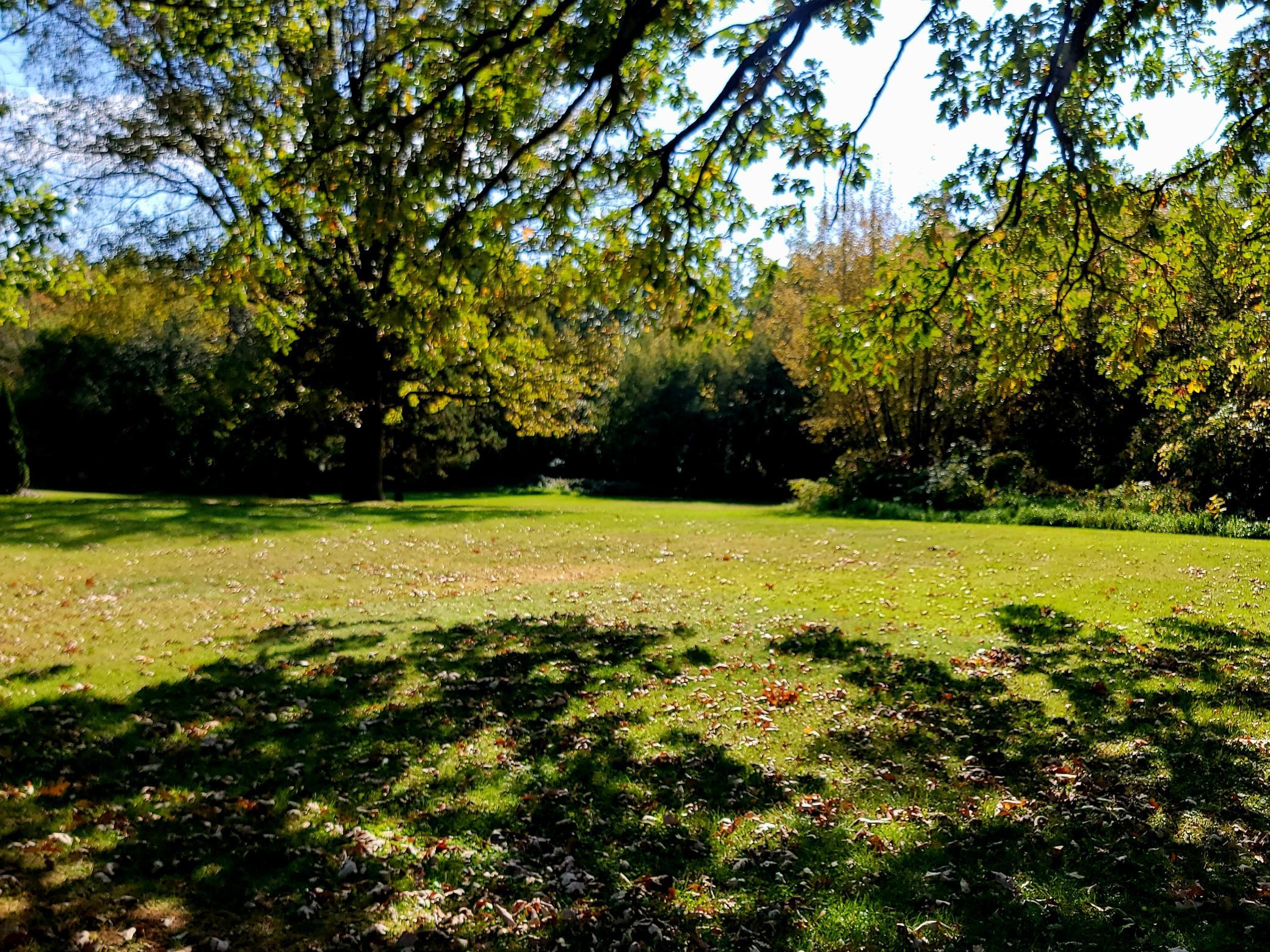 main property photo 30
