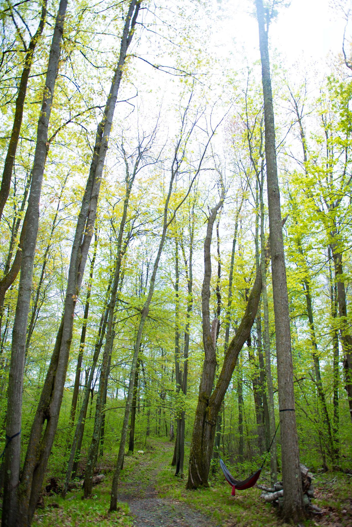 main property photo 46