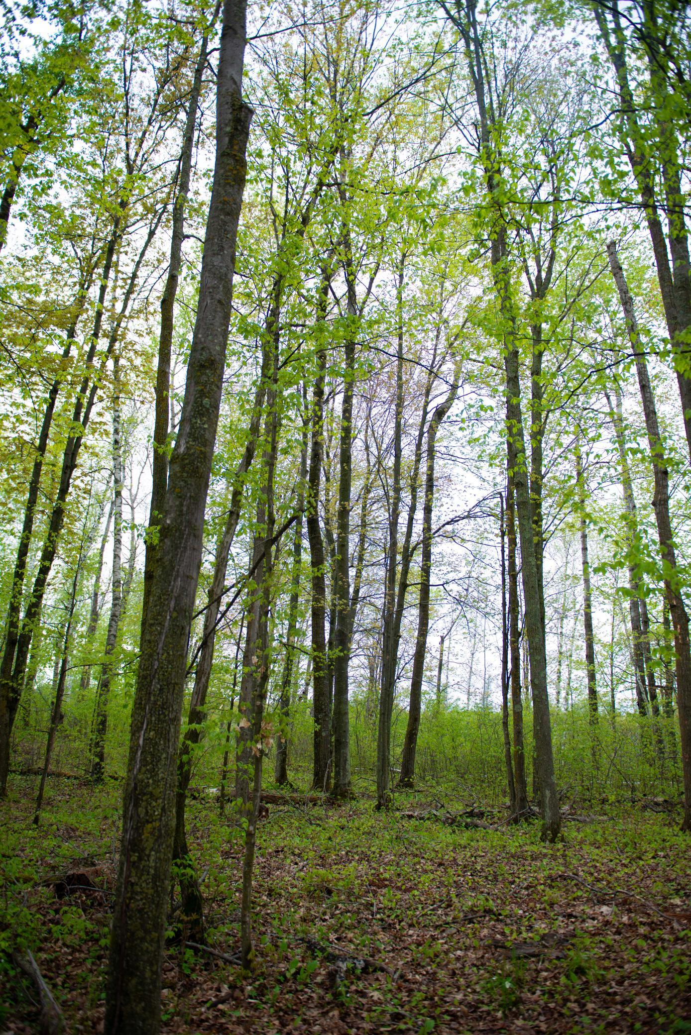 main property photo 51