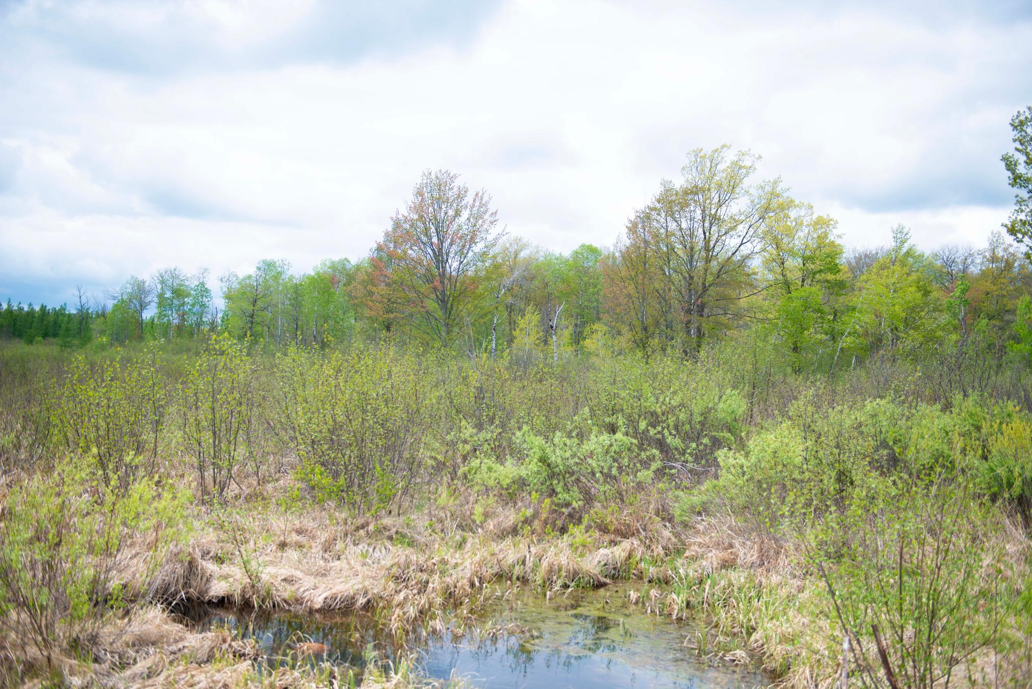 main property photo 61
