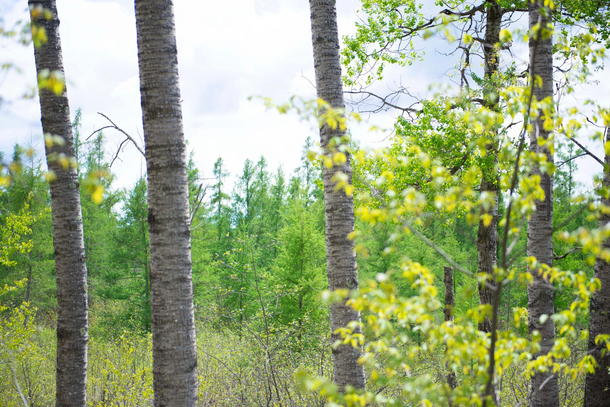 main property photo 66