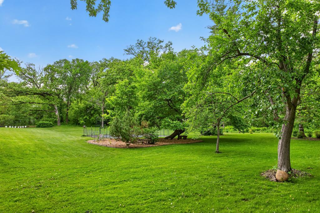 main property photo 59