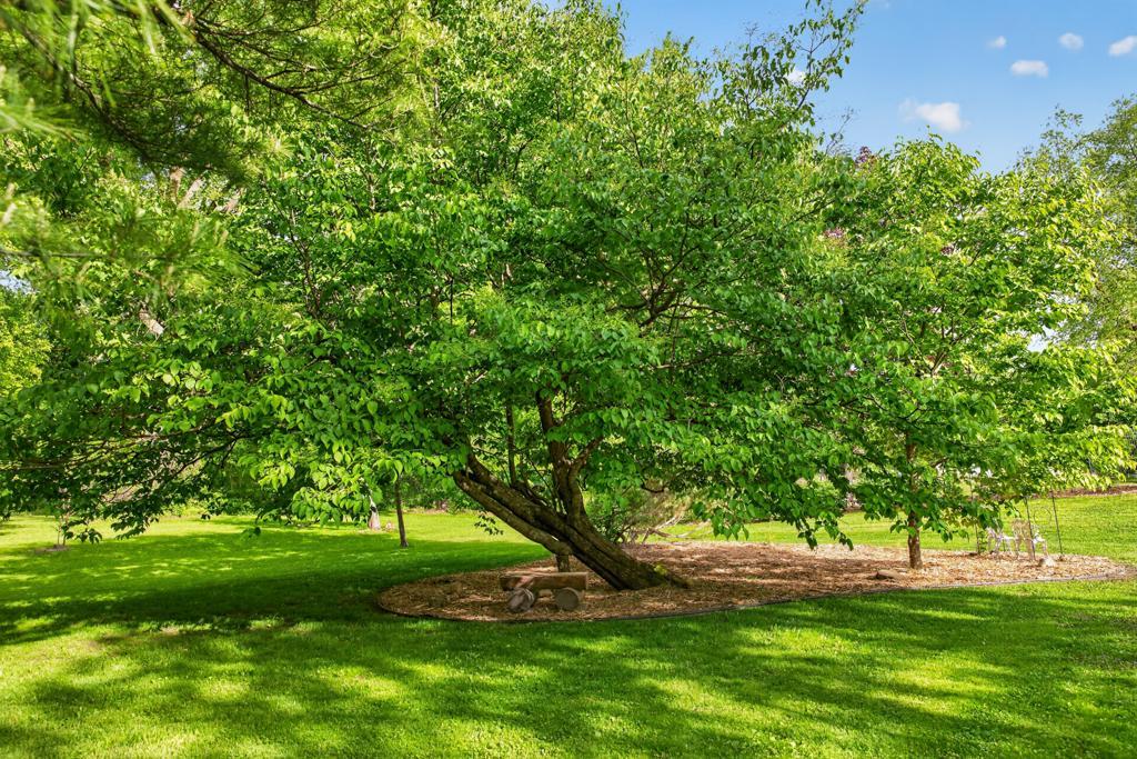 main property photo 65