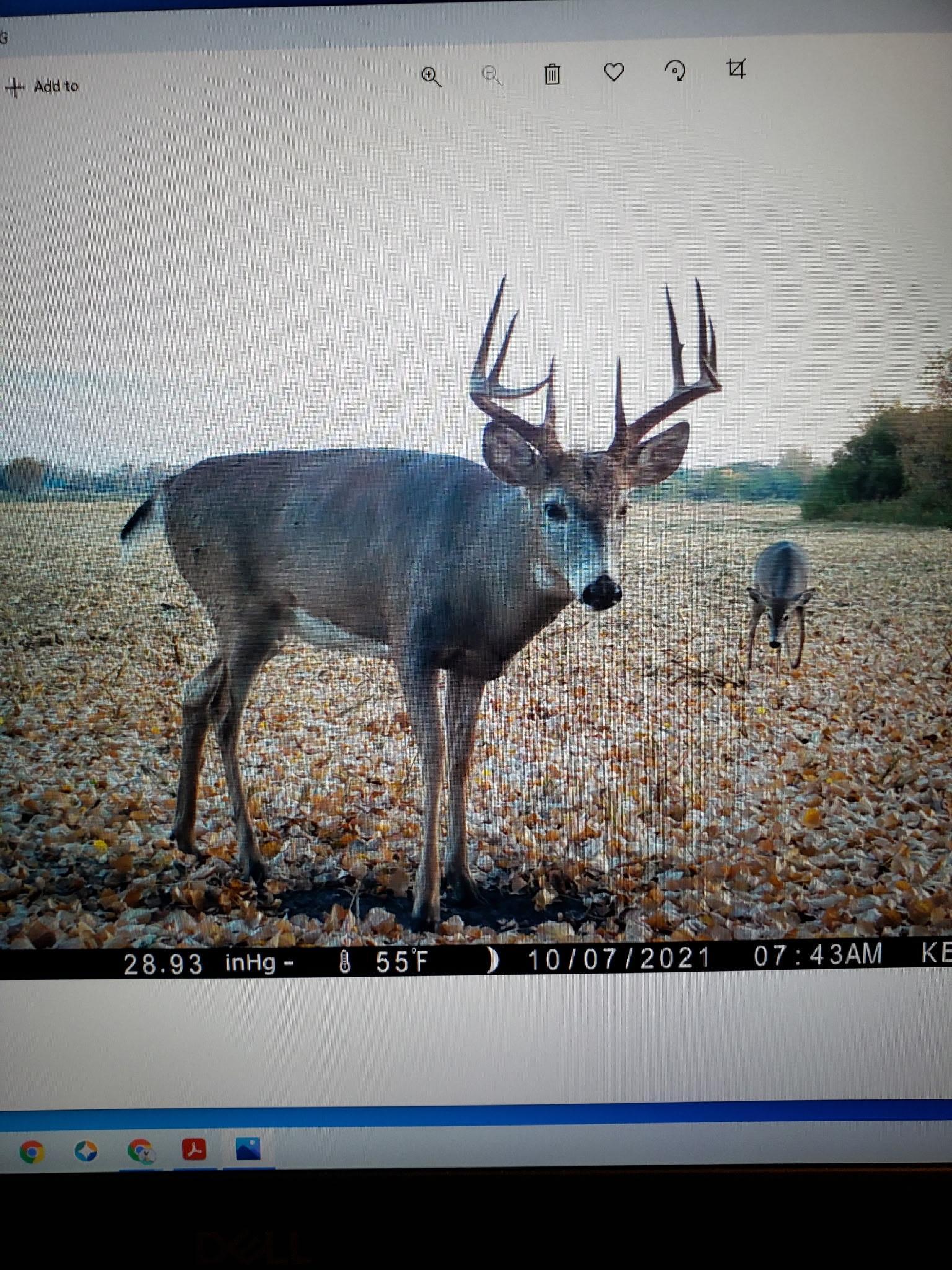 main property photo 89