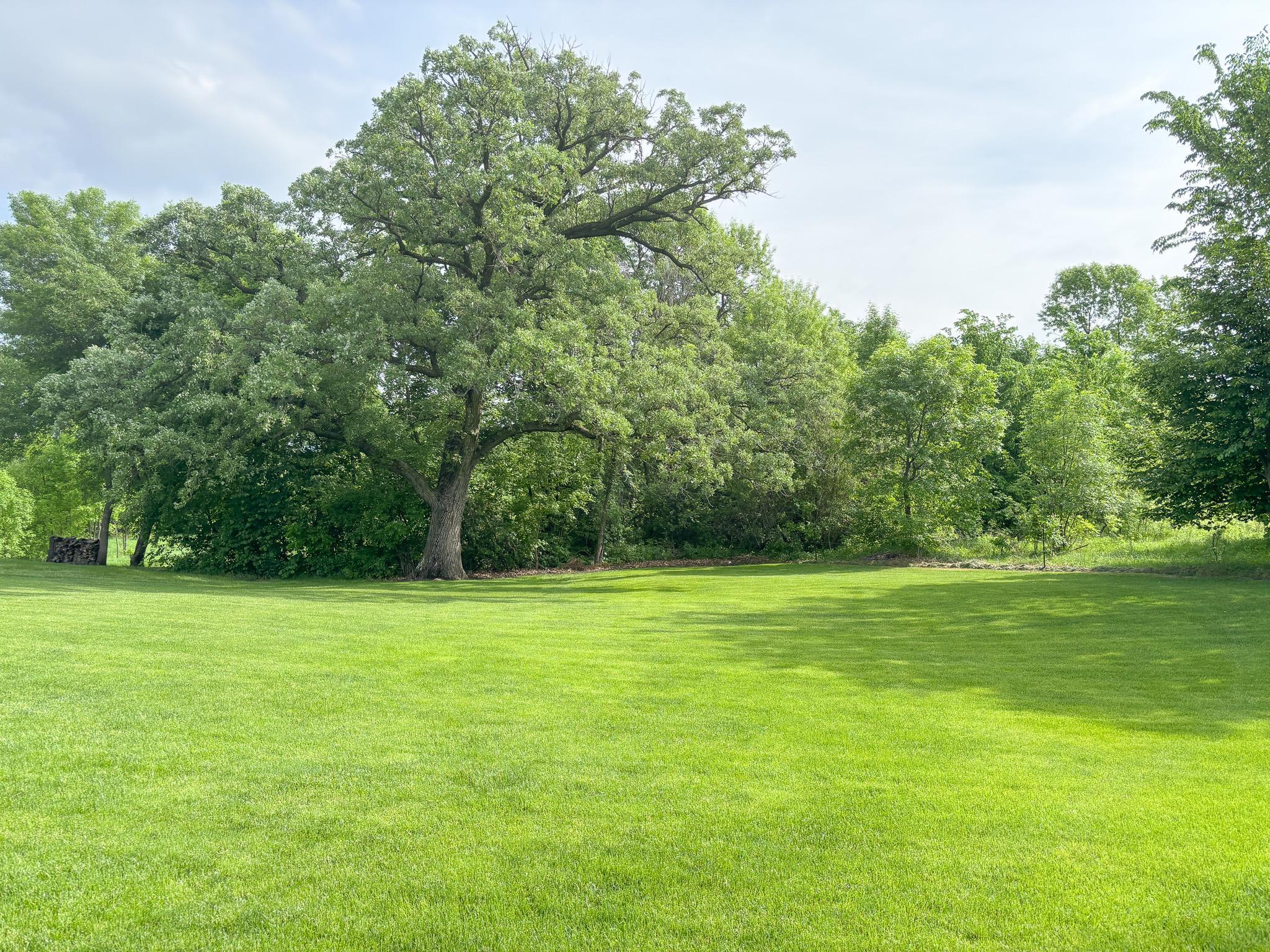 main property photo 59