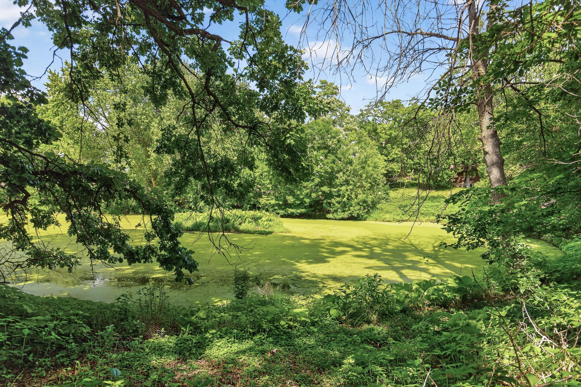 main property photo 42