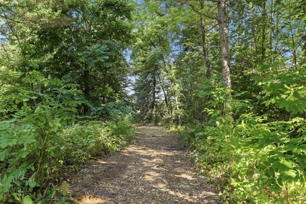 main property photo 91