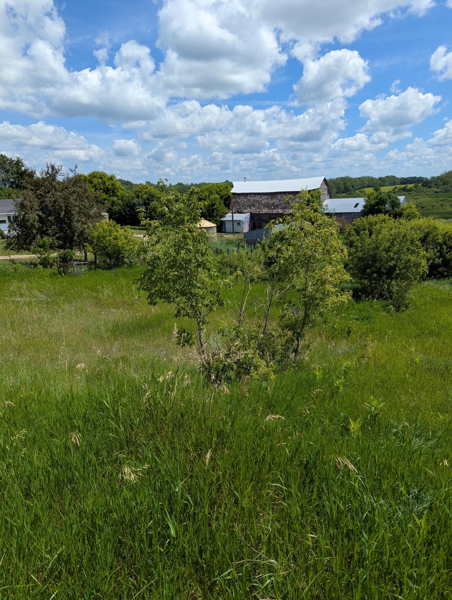 main property photo 52