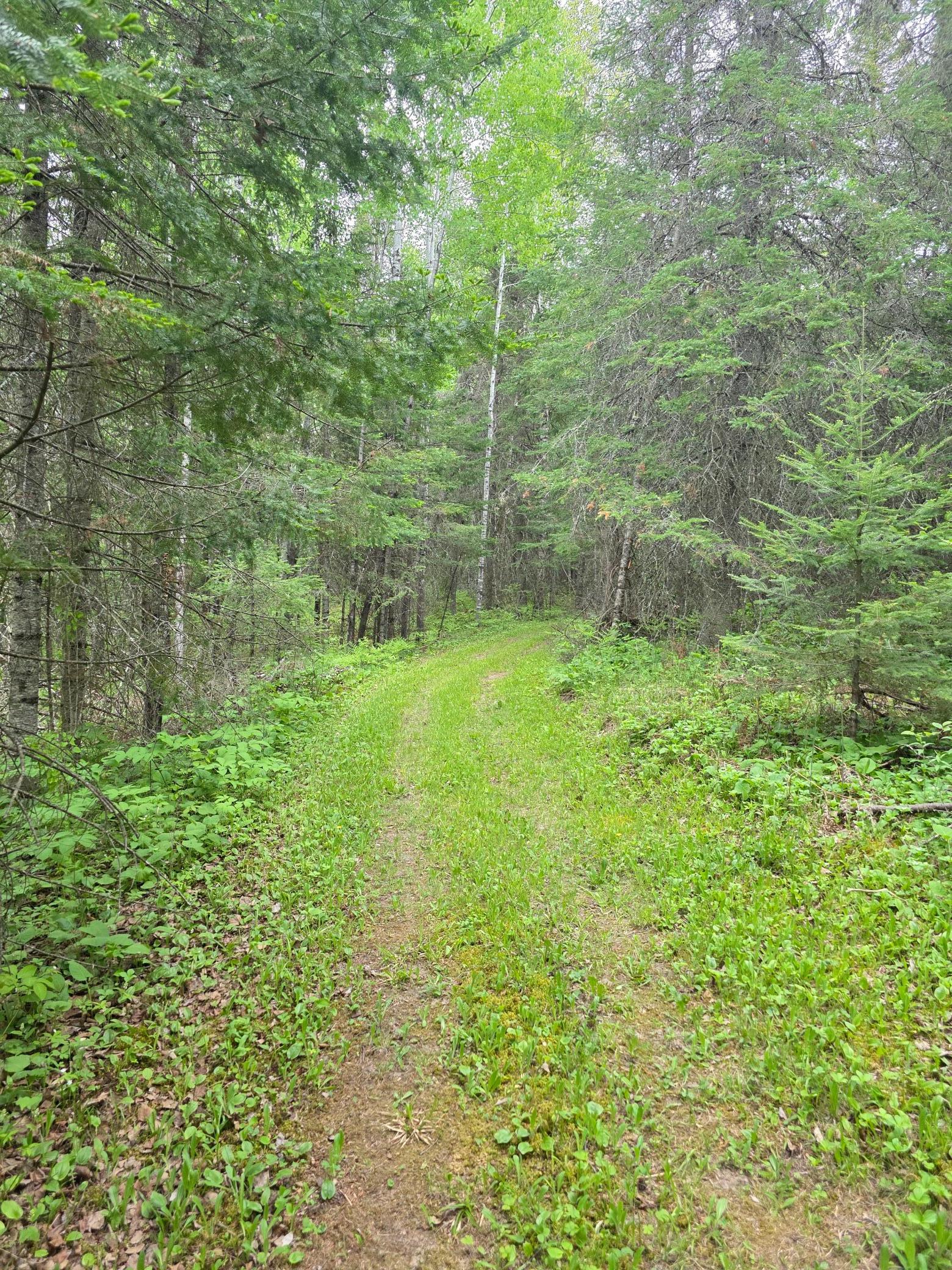 main property photo 57
