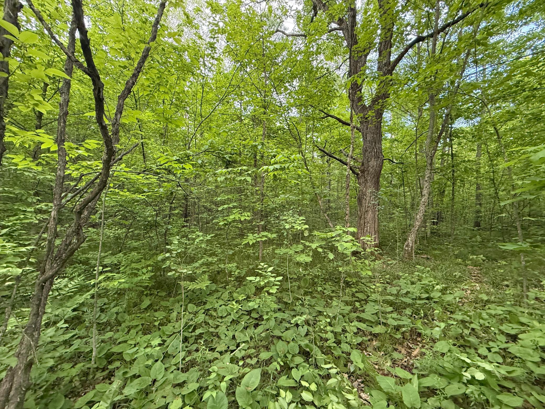 main property photo 11