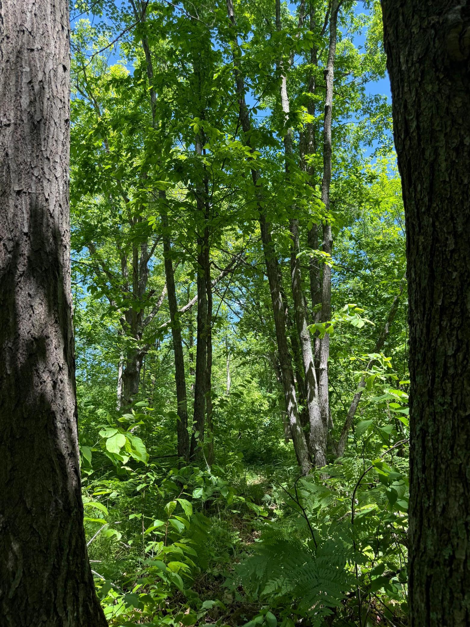 main property photo 15