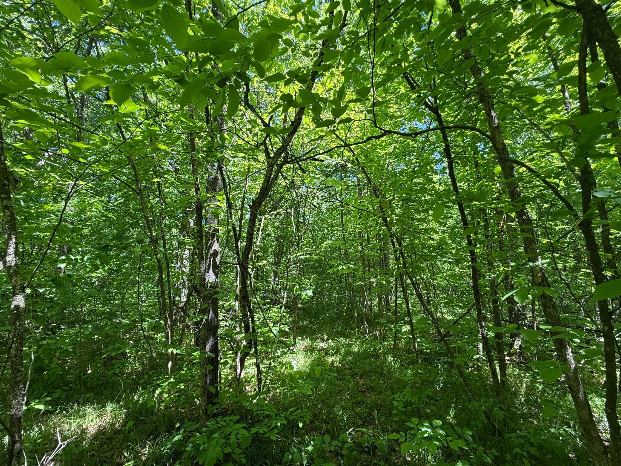 main property photo 17