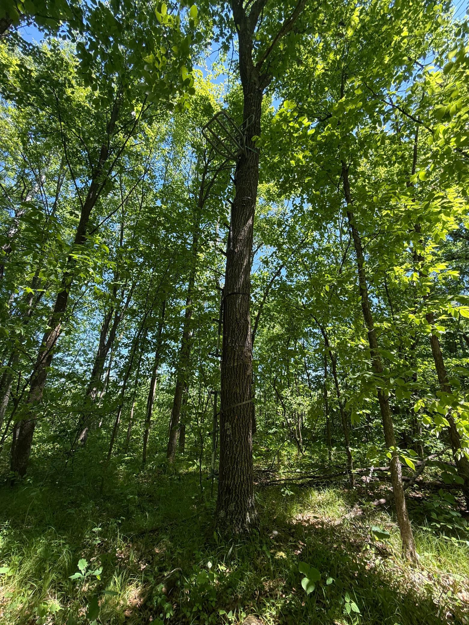 main property photo 18