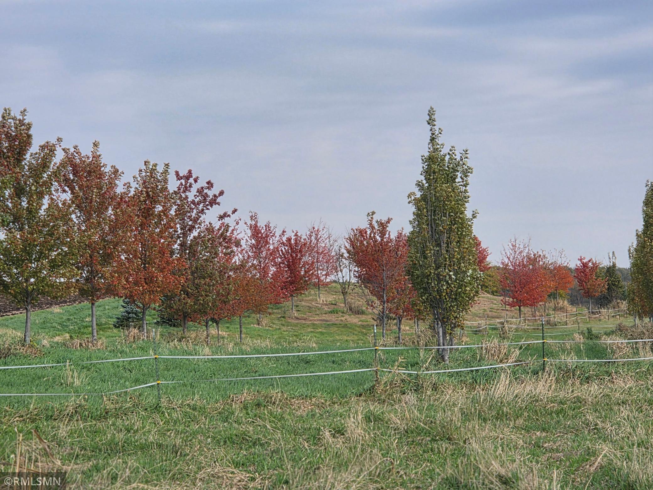 main property photo 44